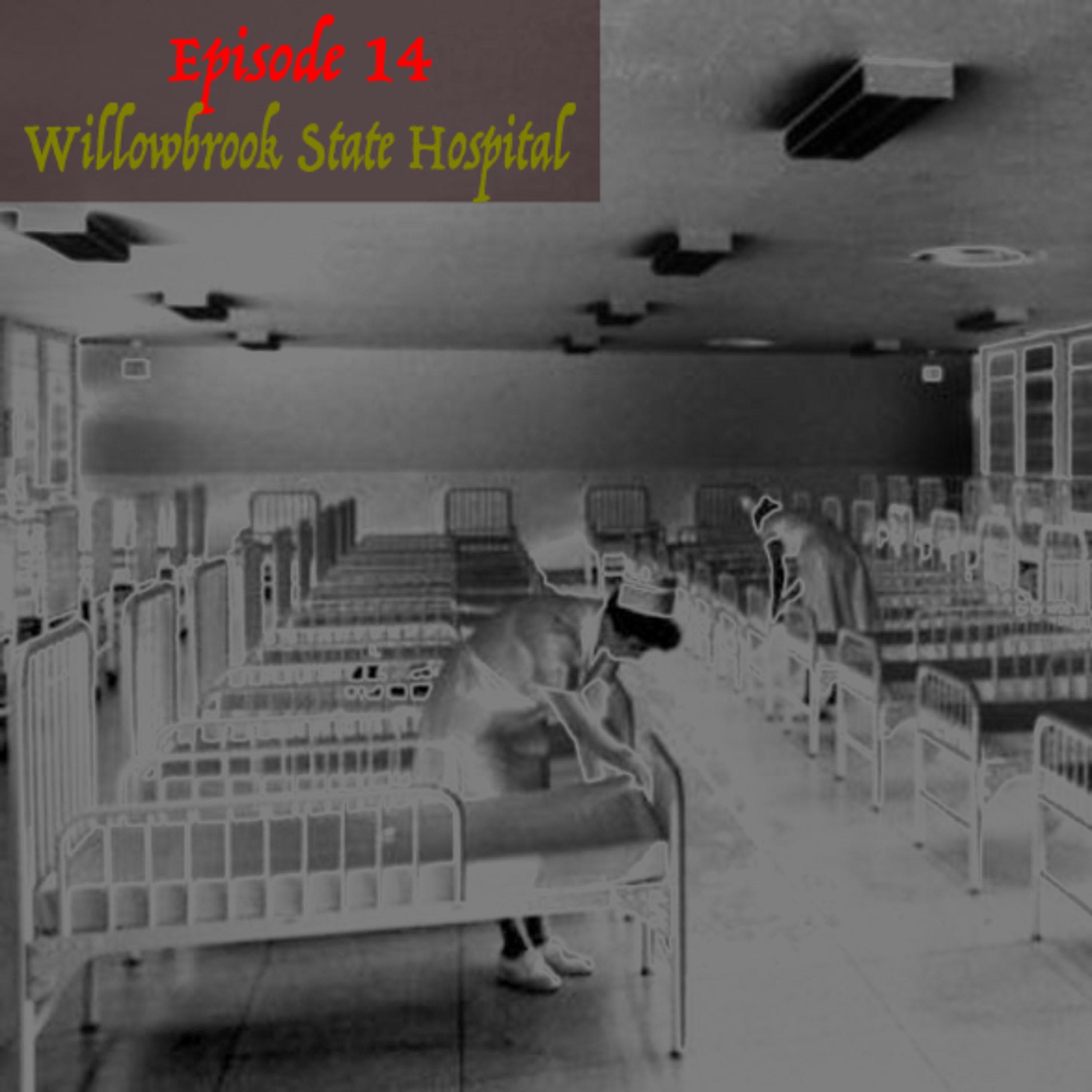 Episode 9: Willowbrook State Hospital episode artwork