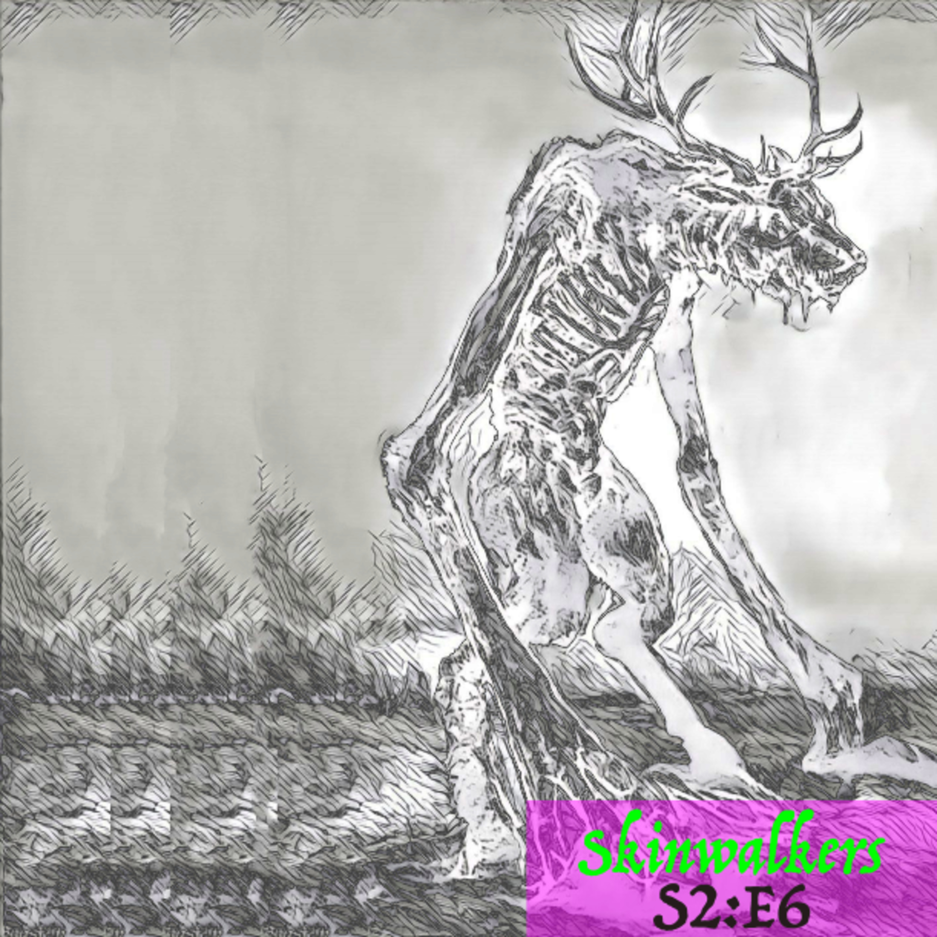 S2E6: Skinwalkers and their ranch episode artwork