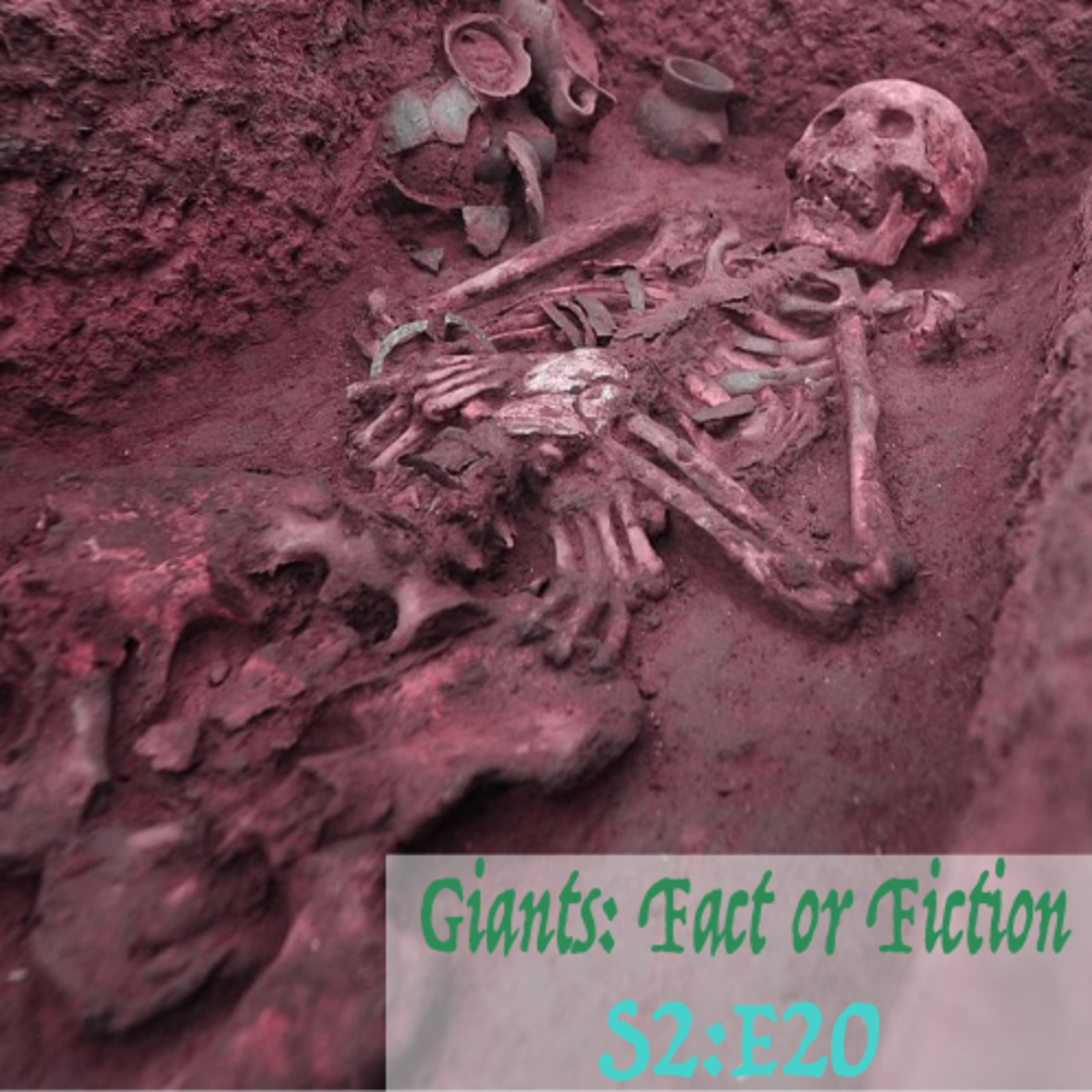 S2E20: Giants - Fact or Fiction? episode artwork