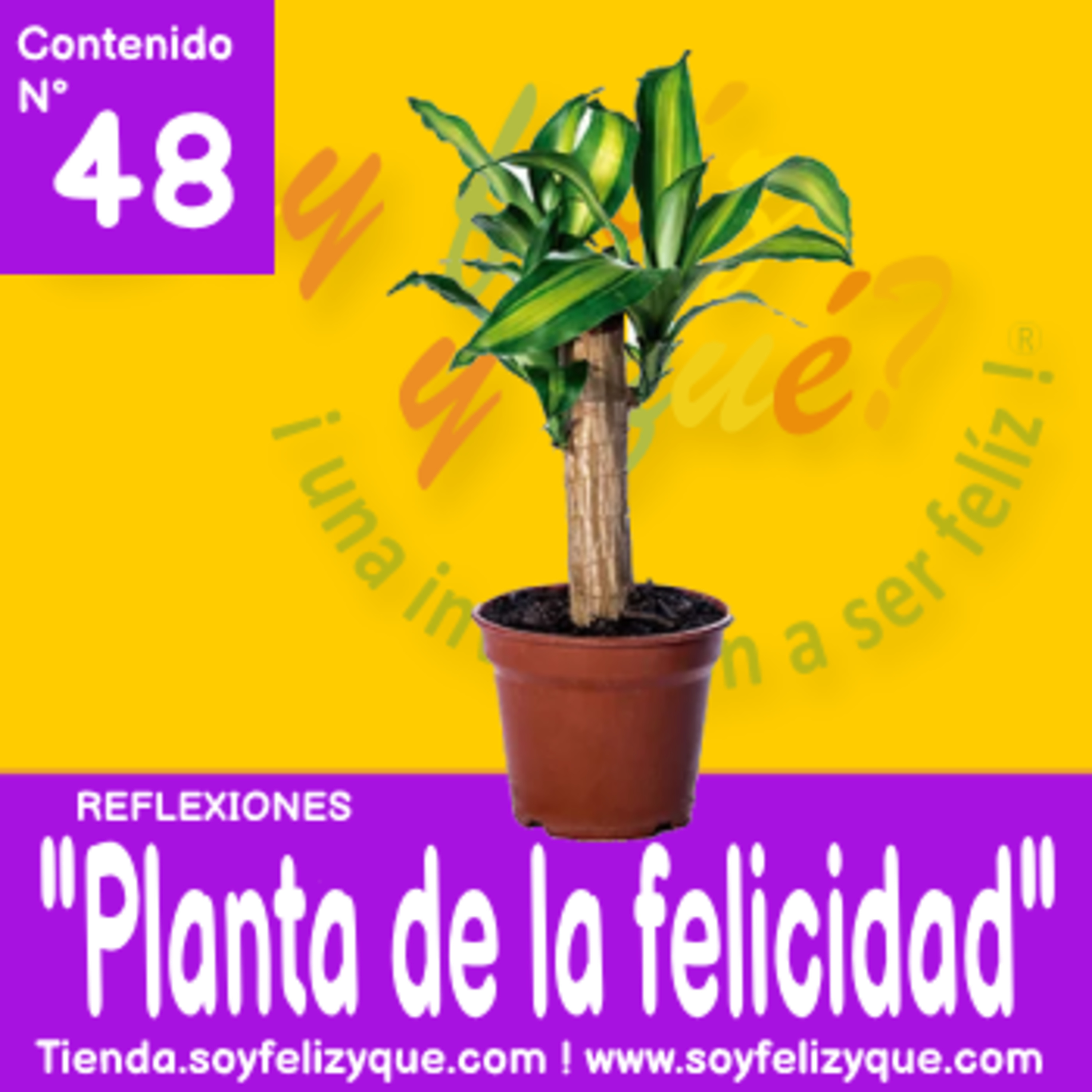 Soyfelizyqué, una invitación a ser feliz ® - #sfyq