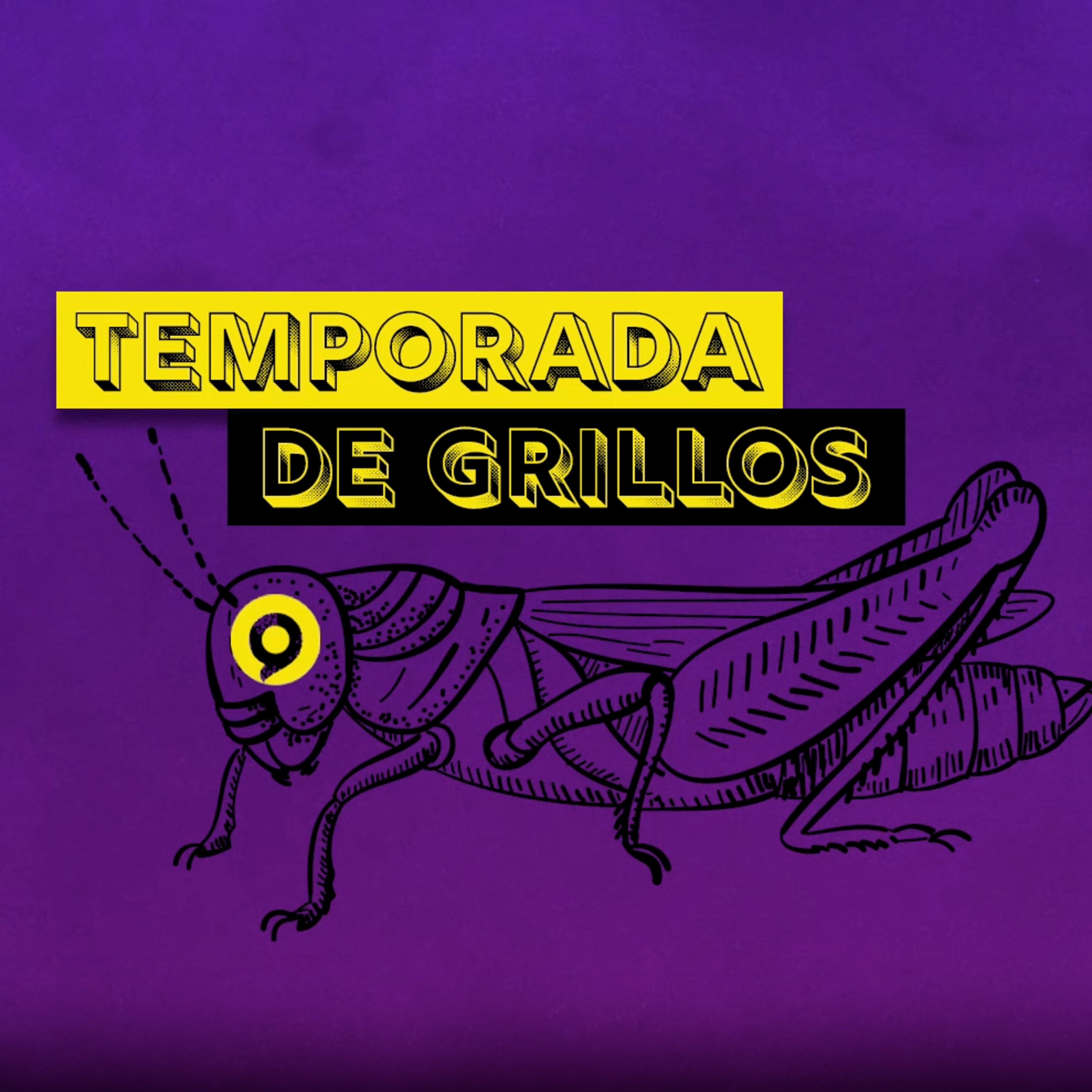 Origen Informativo