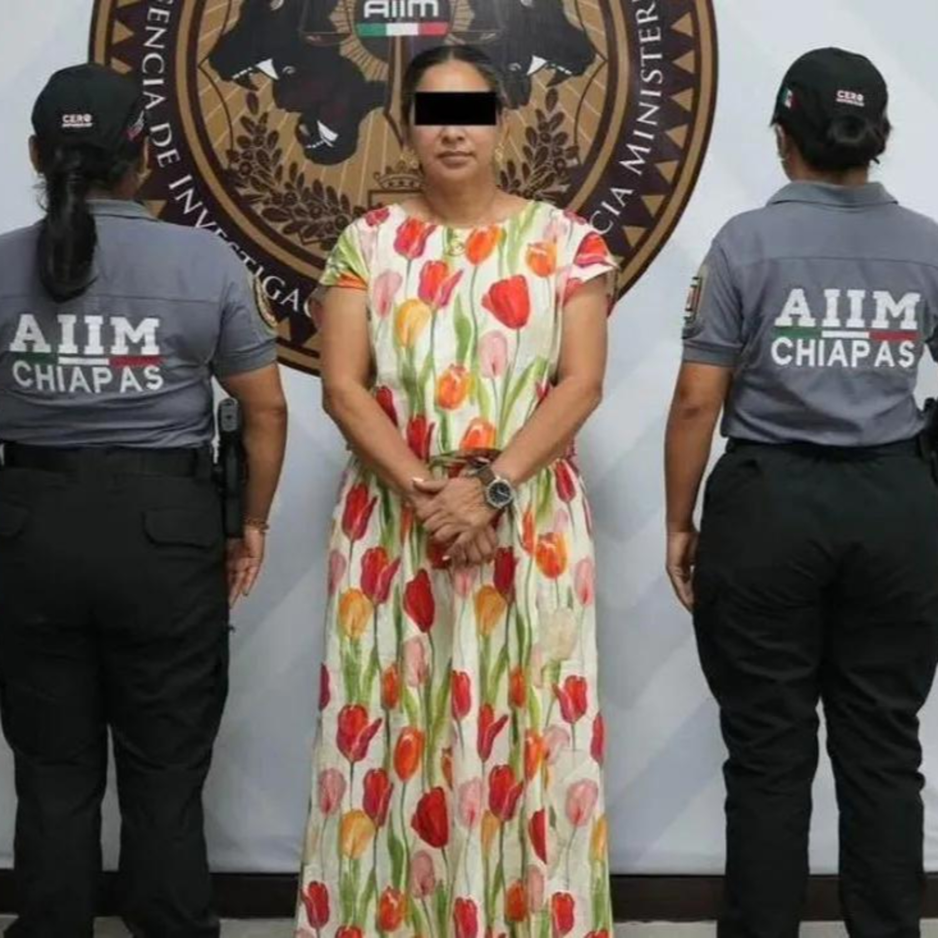 Chiapas, la punta del iceberg de la corrupción en el sistema político mexicano episode artwork