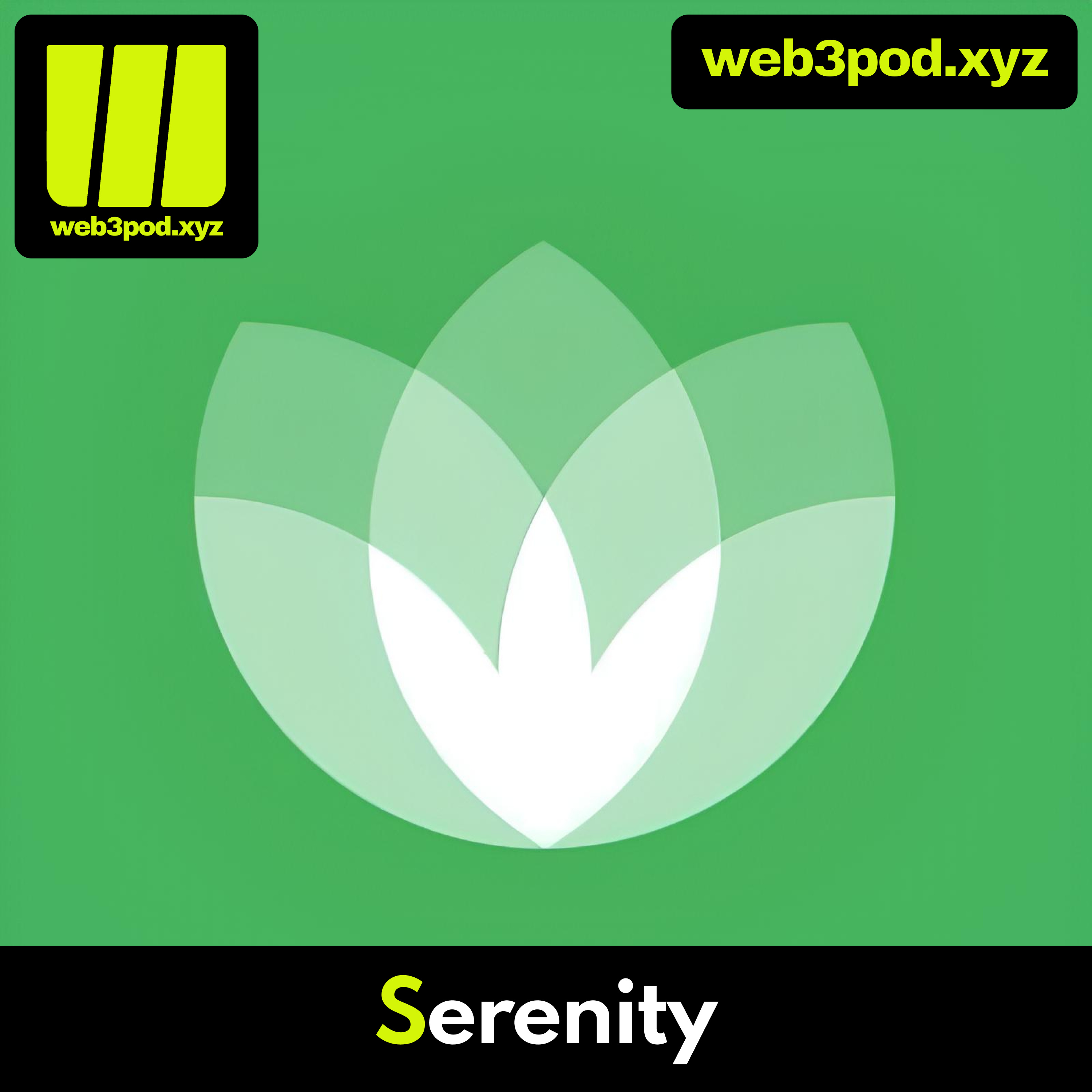 254: Web3 Data Survivability – Robert Mofrad on Serenity’s Approach to Inheritance, Identity & Biometric Security episode artwork