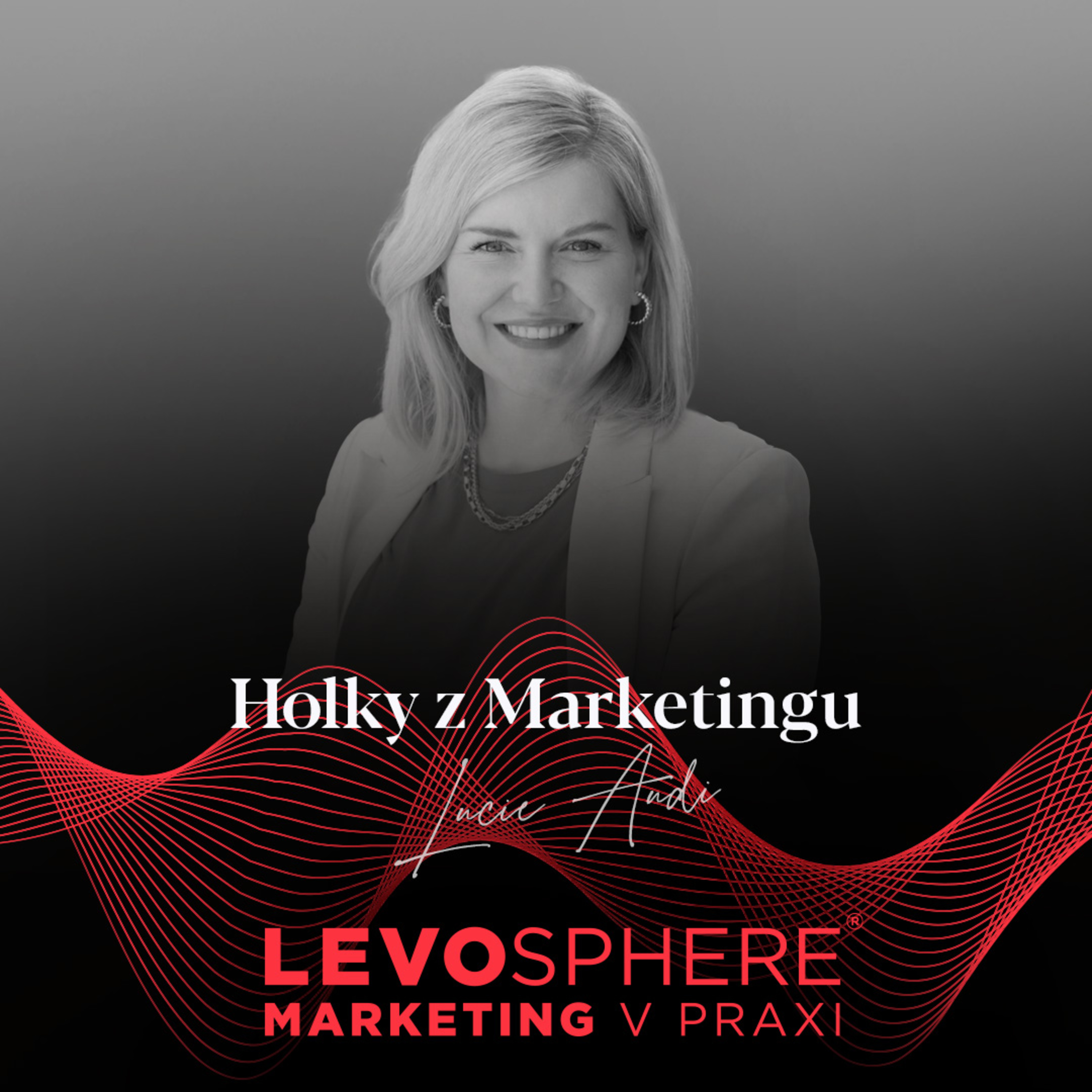 Marketing v praxi