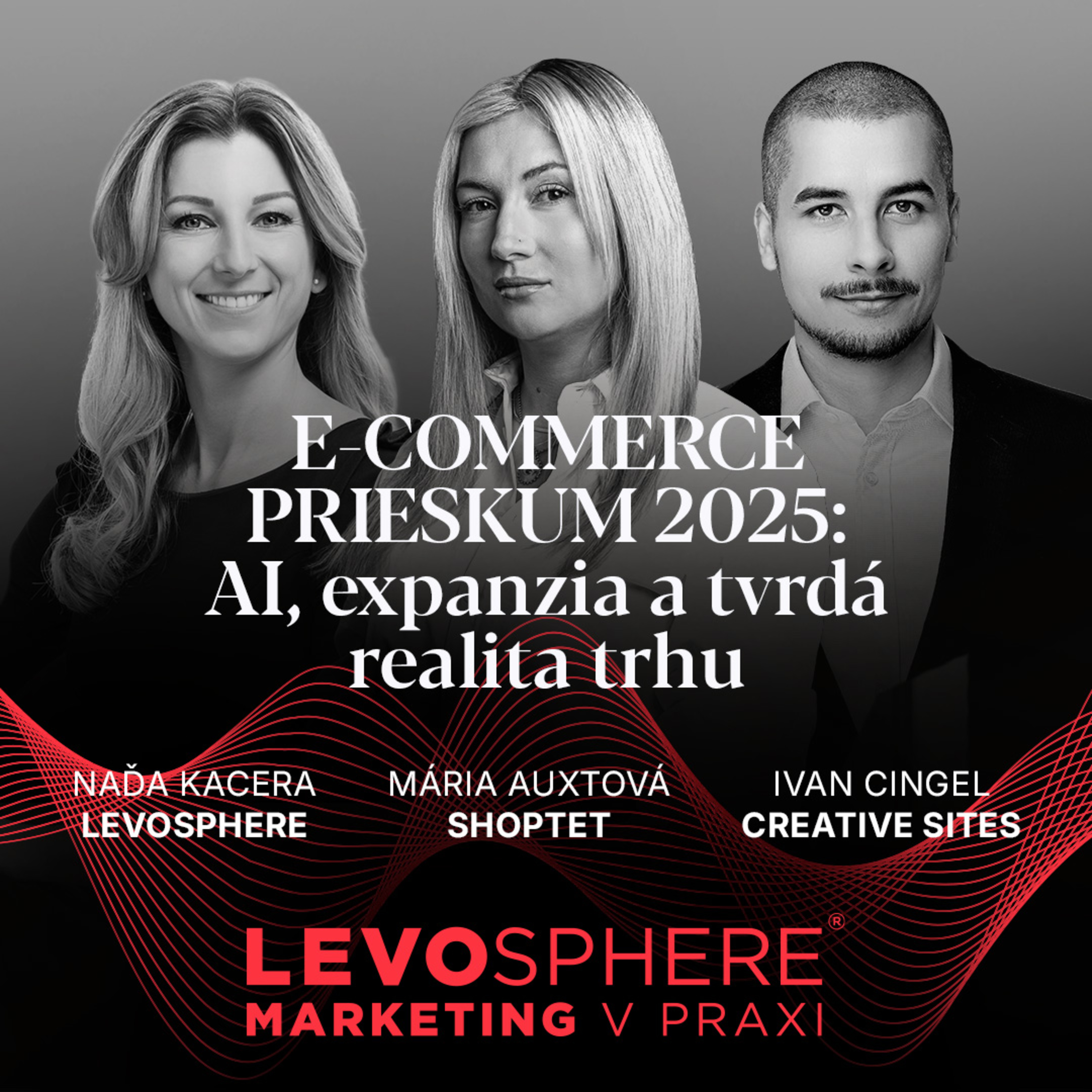 #299 E-COMMERCE PRIESKUM 2025: AI, expanzia a tvrdá realita trhu episode artwork