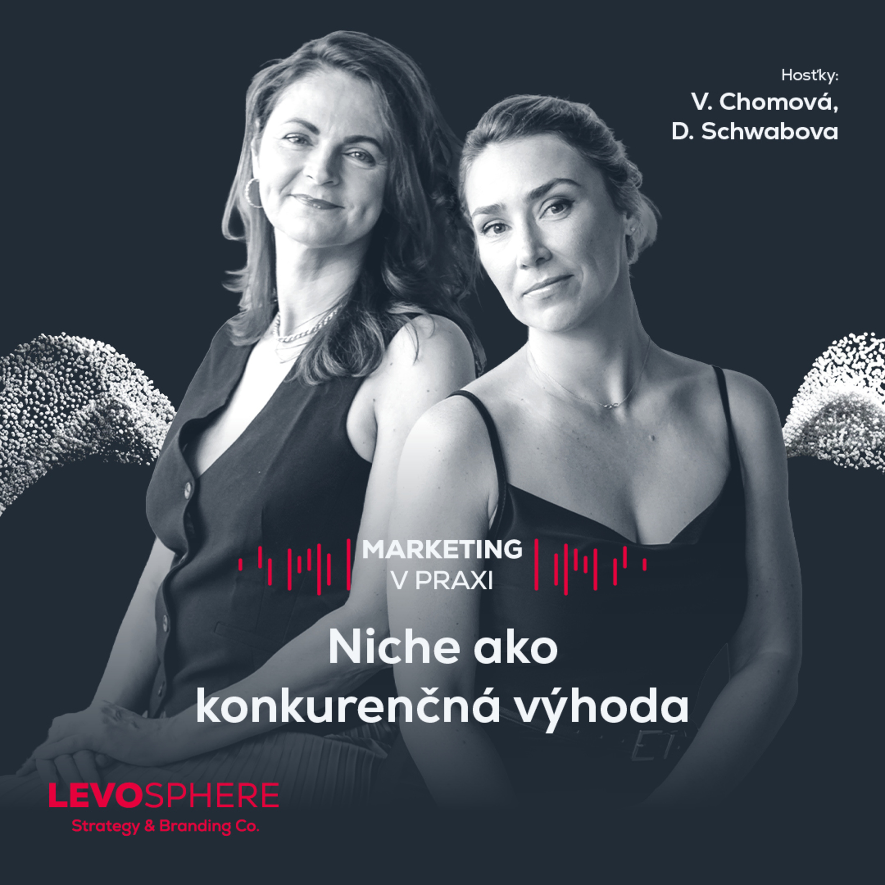 #310 Niche ako konkurenčná výhoda: Ako preraziť na saturovanom trhu? episode artwork