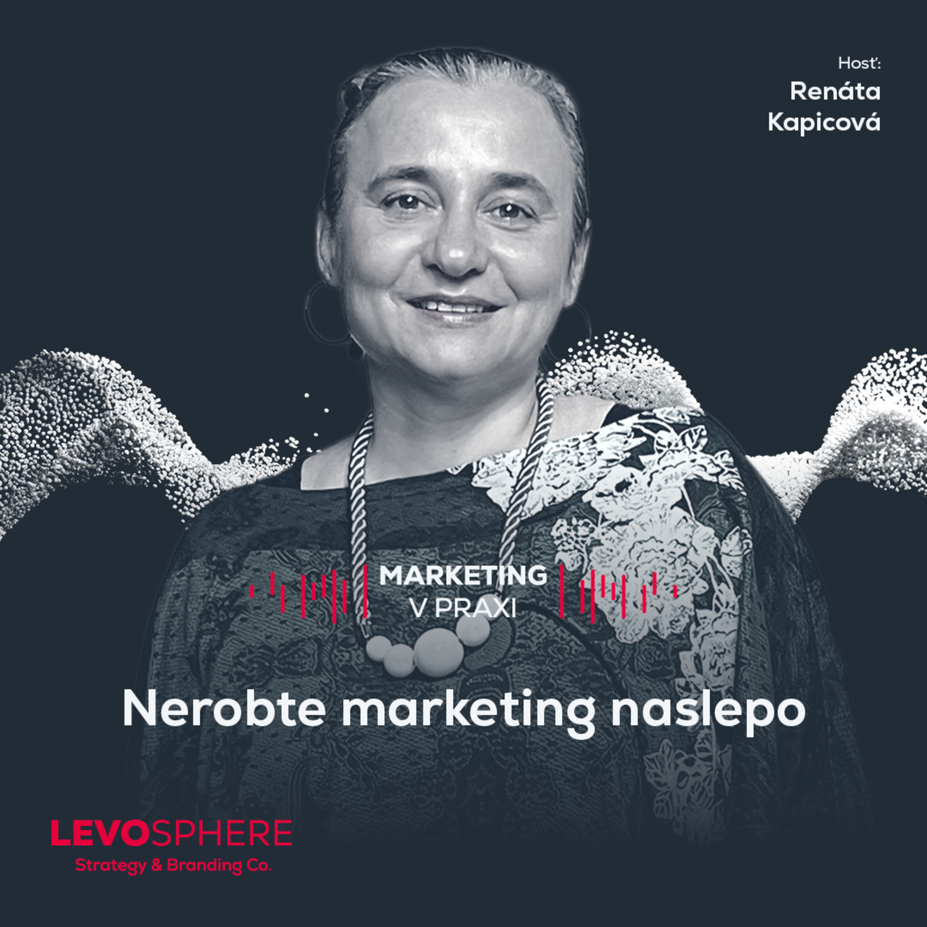 Marketing v praxi
