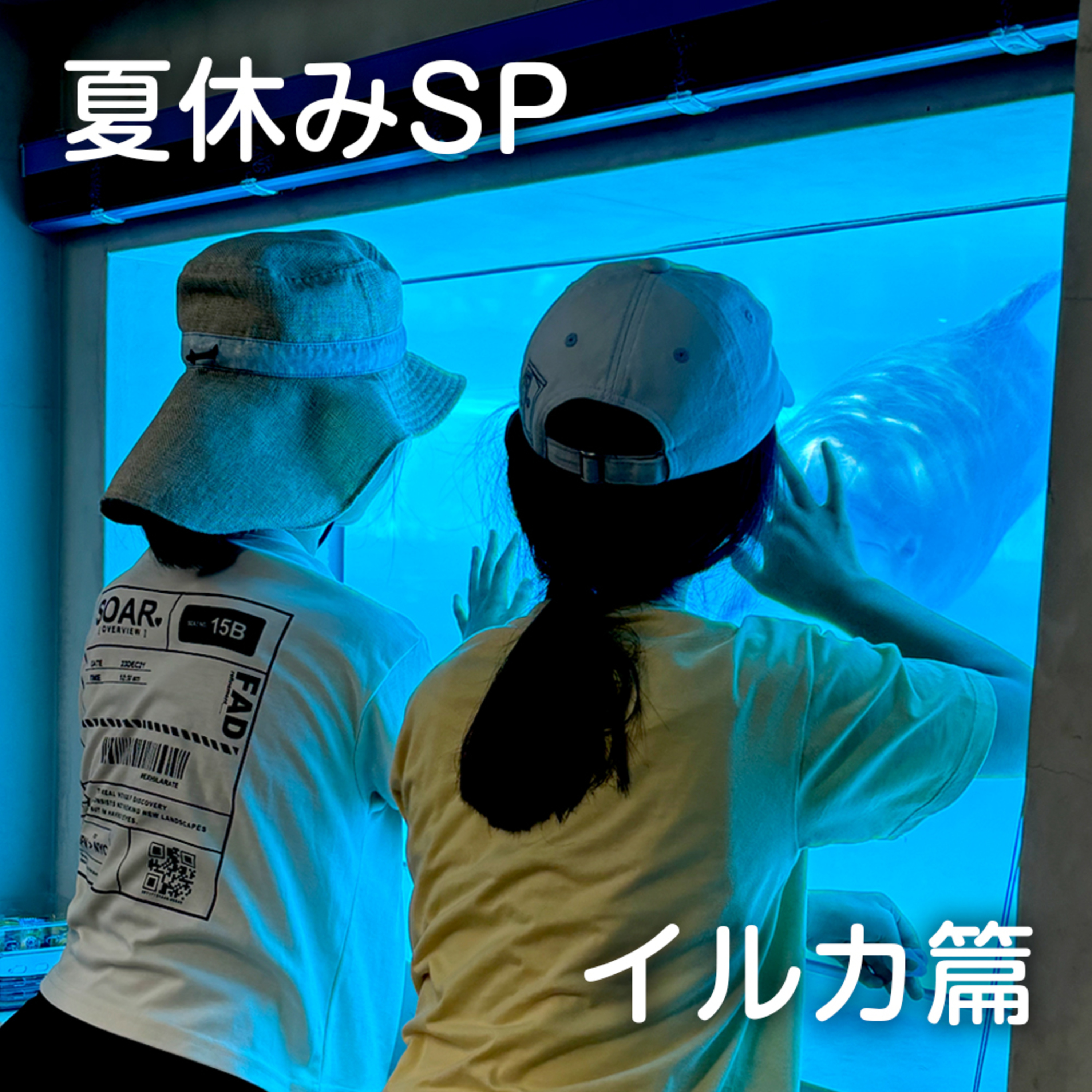 おしえてマリン#062_「マリンこども調査員SP_イルカ篇」