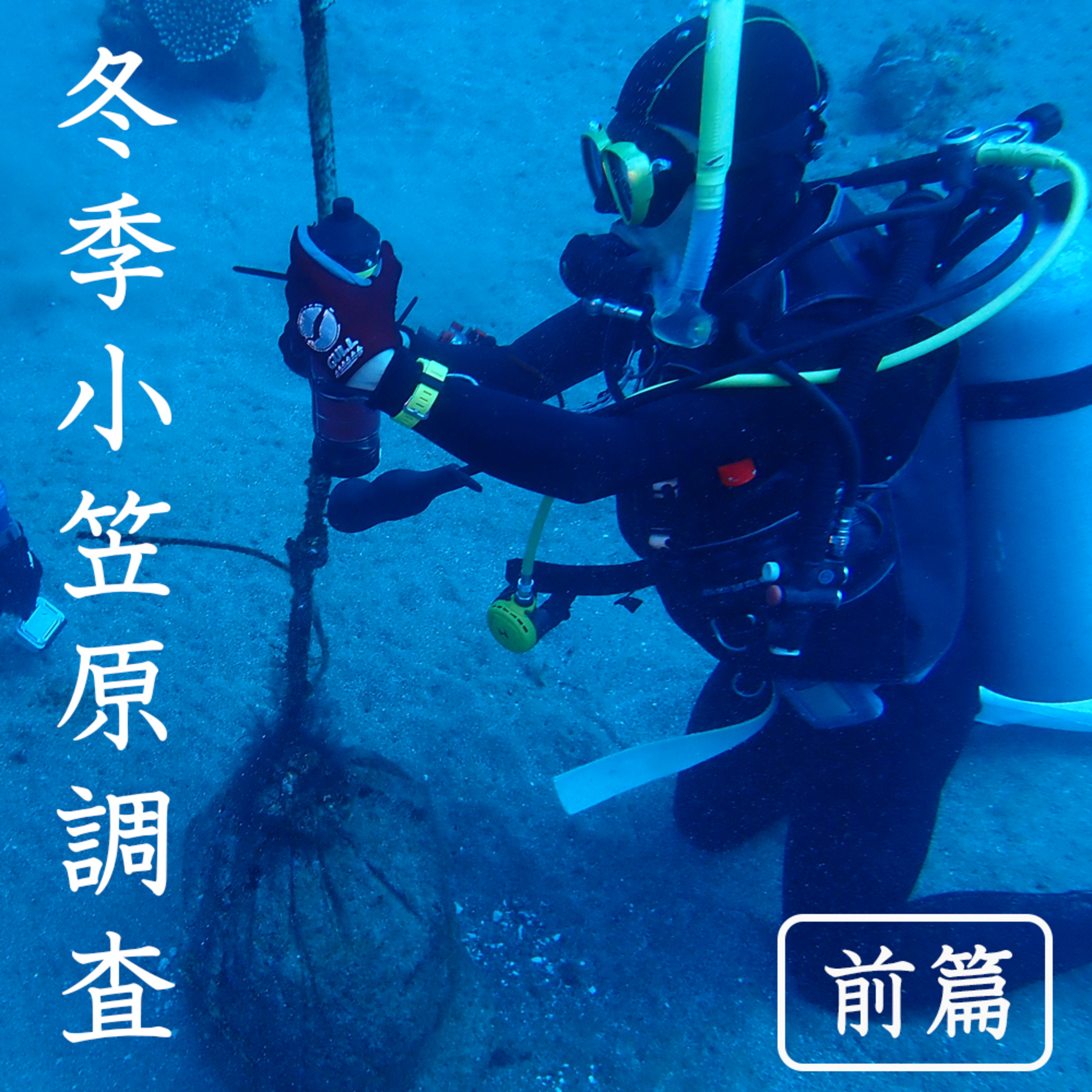 おしえてマリン#070_「冬季小笠原調査 前篇」