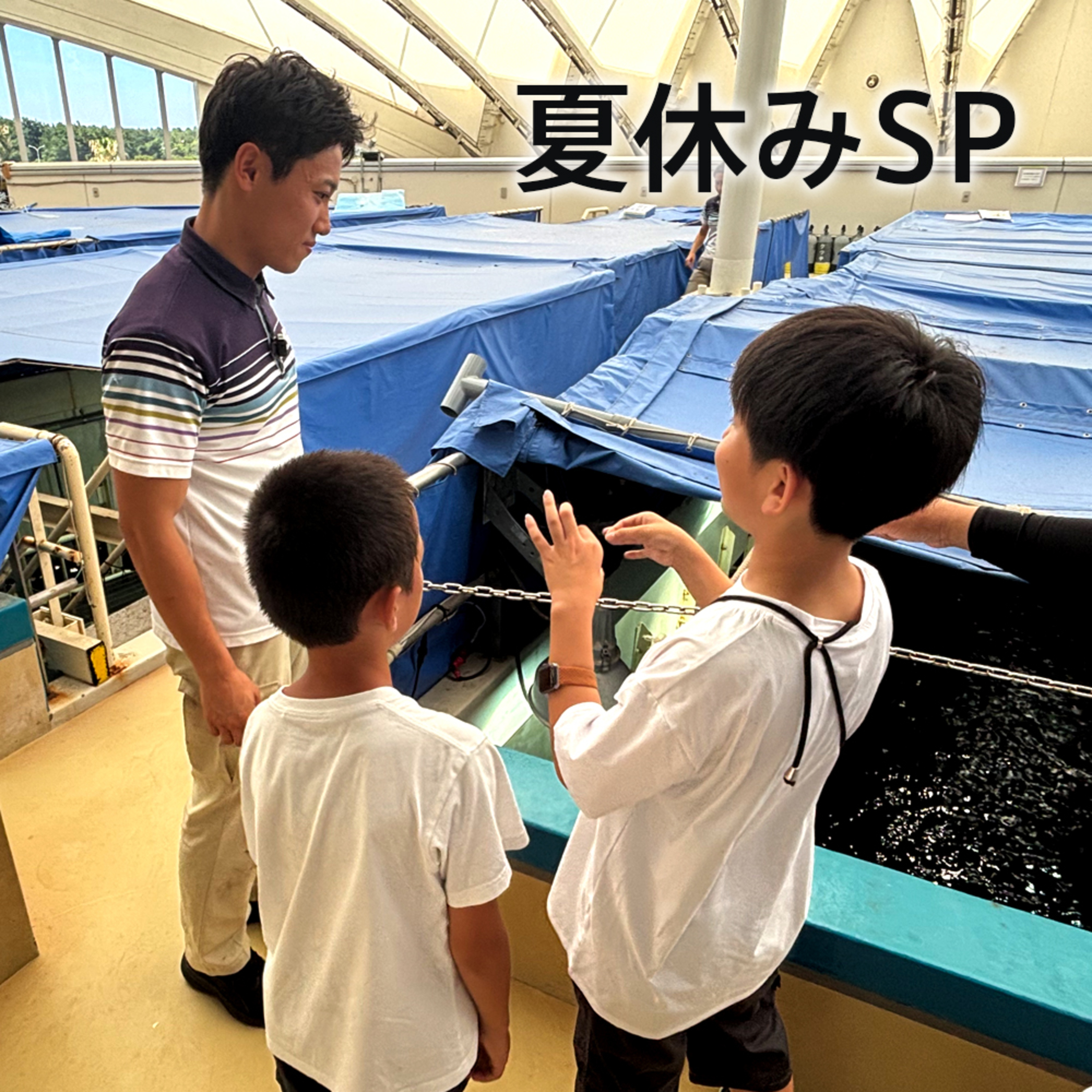 おしえてマリン#078_「マリンこども調査員SP_イシガキフグ、エイ篇」 episode artwork