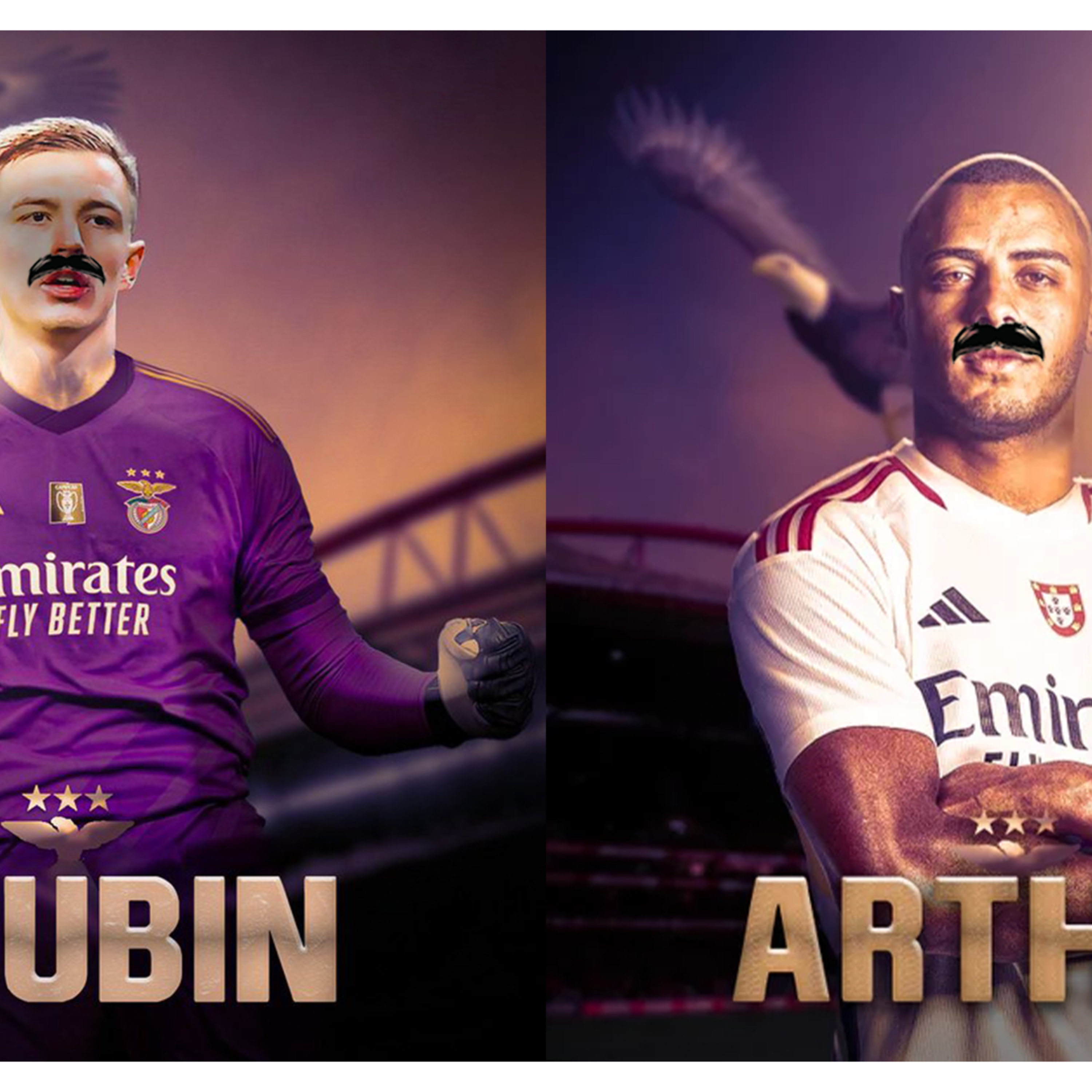 TRUBIN & ARTHUR CABRAL ● ANÁLISE