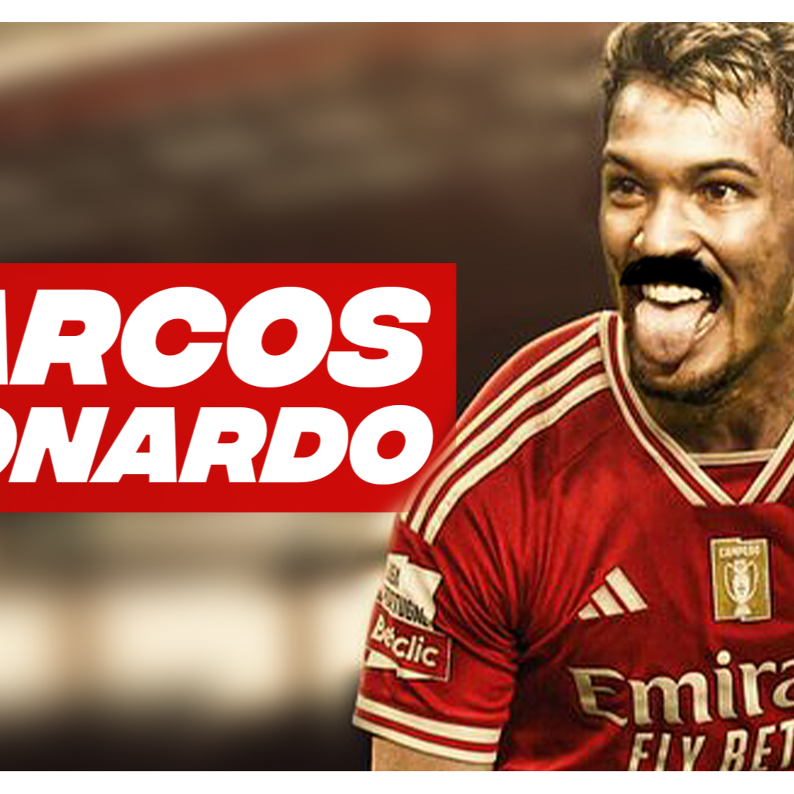 MARCOS LEONARDO ● ANÁLISE