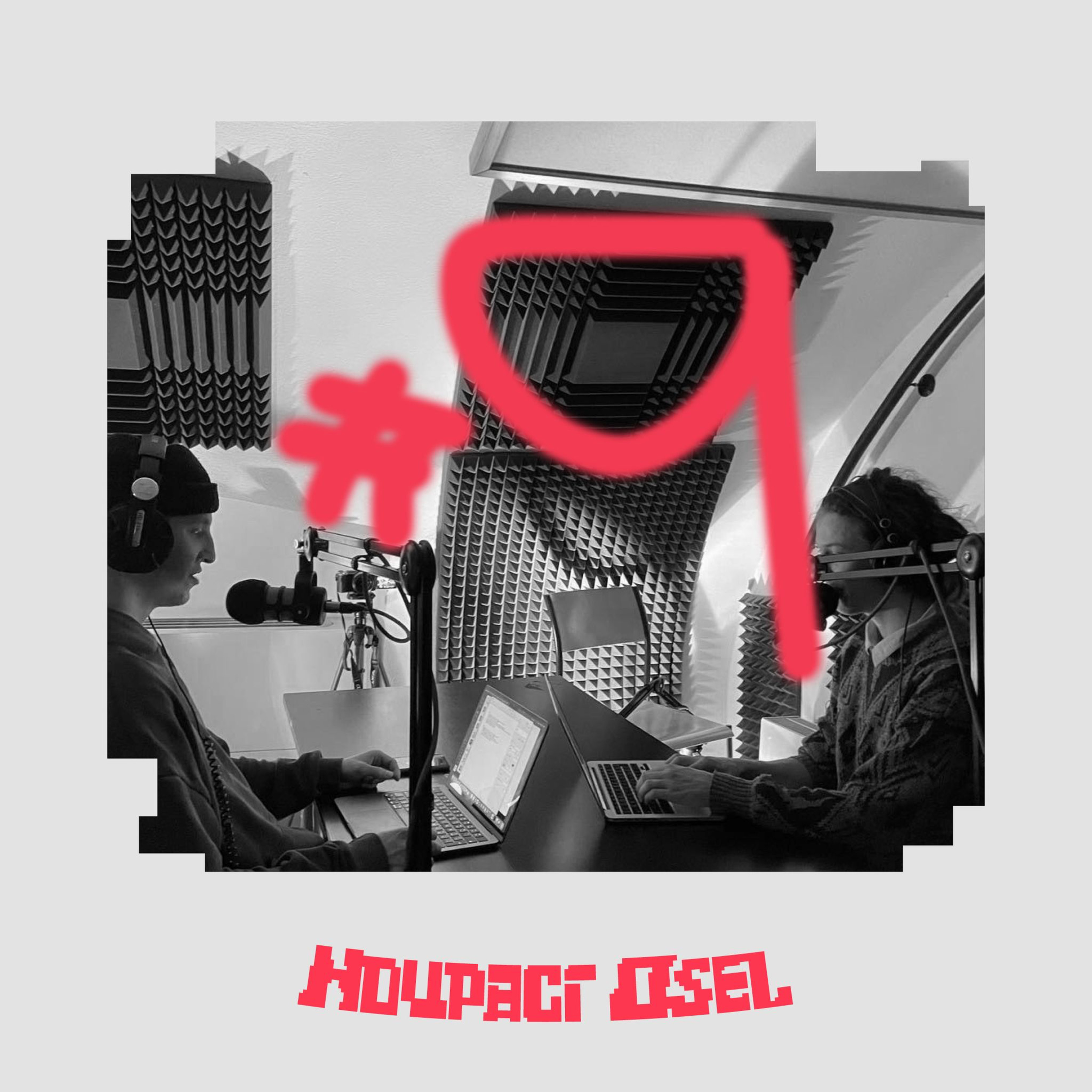 Audiosel