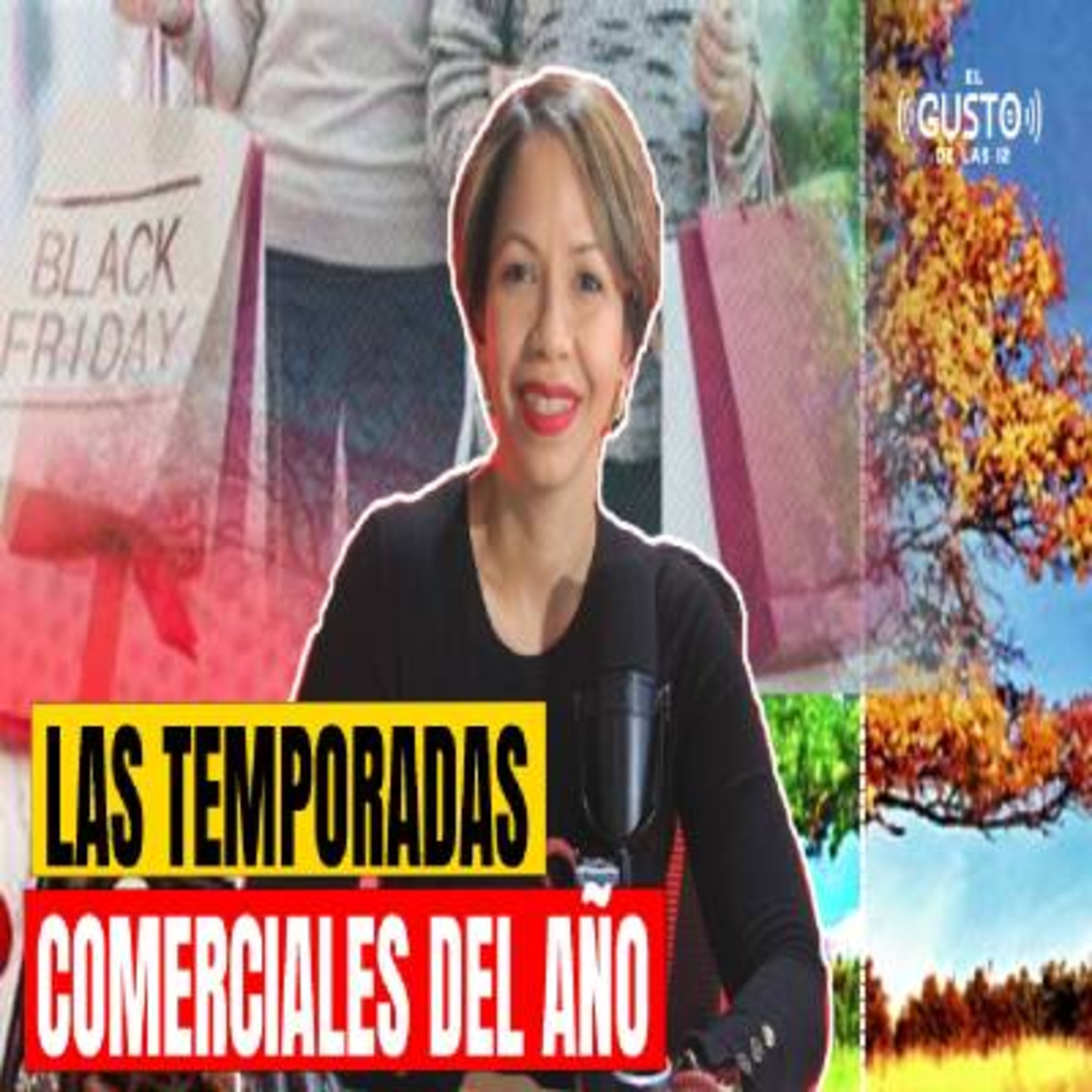 LAS TEMPORADAS COMERCIALES DEL AÑO episode artwork