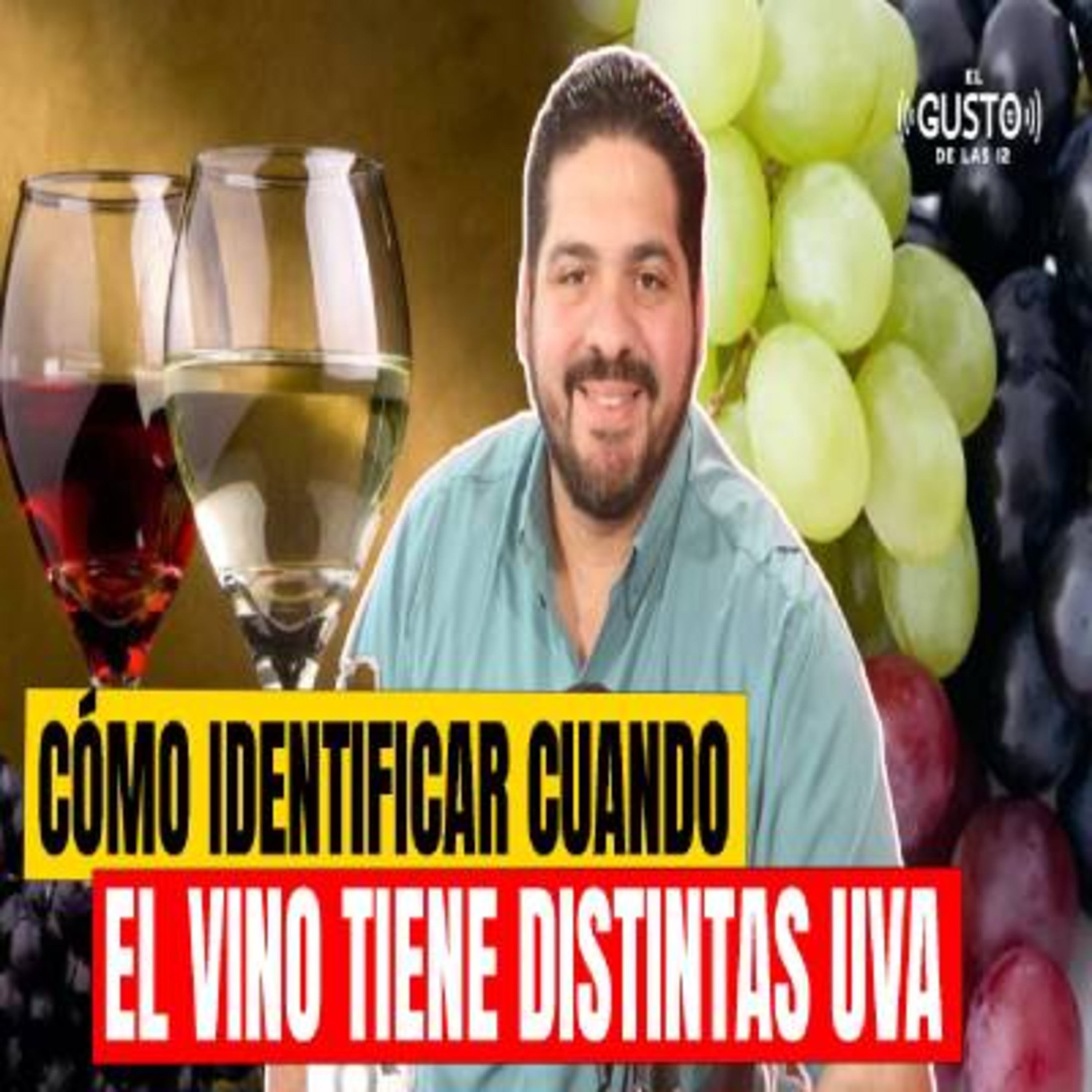 CÓMO IDENTIFICAR CUANDO EL VINO TIENE DISTINTAS UVA - GILBERTO GOMEZ episode artwork