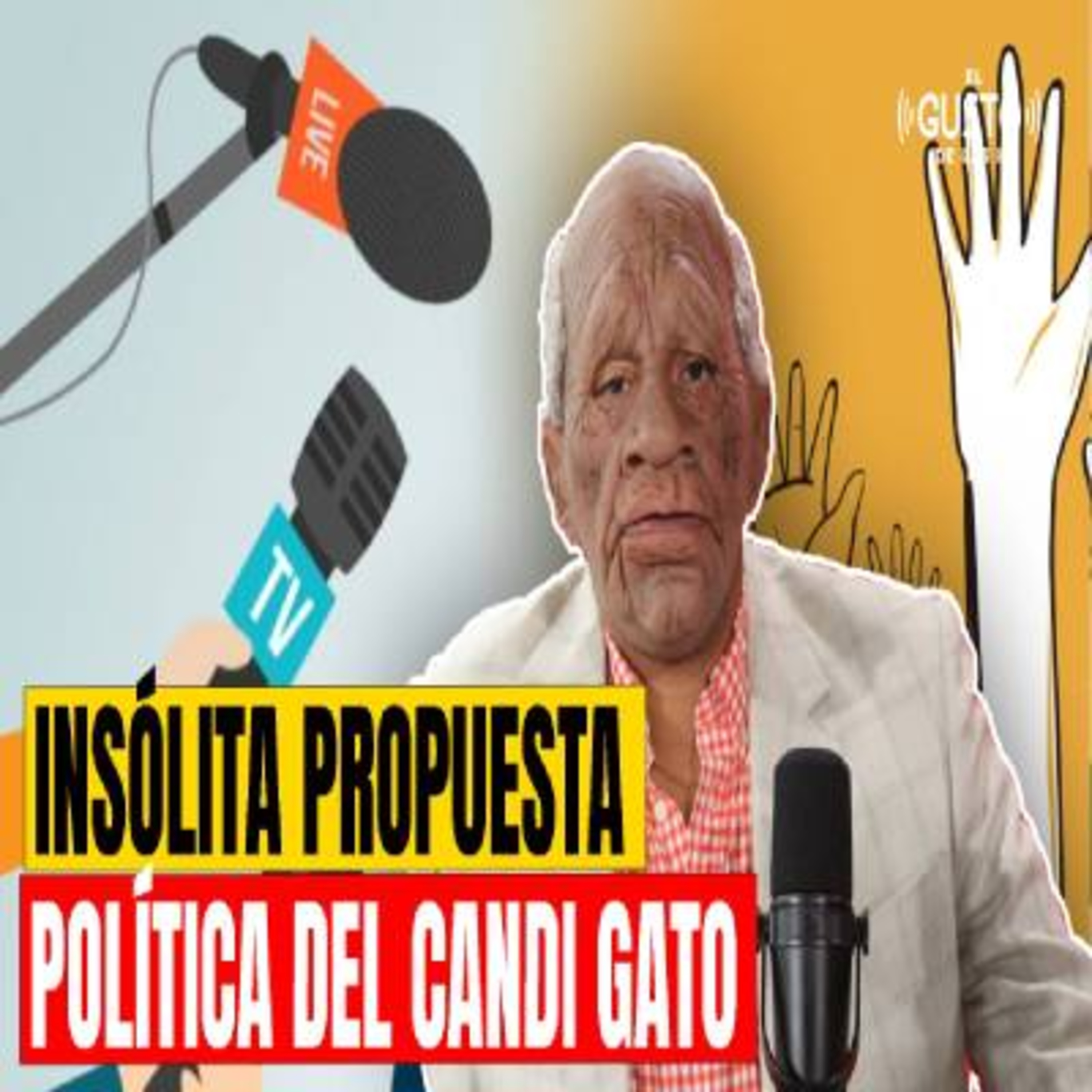 INSÓLITA PROPUESTA POLÍTICA DEL CANDI GATO episode artwork