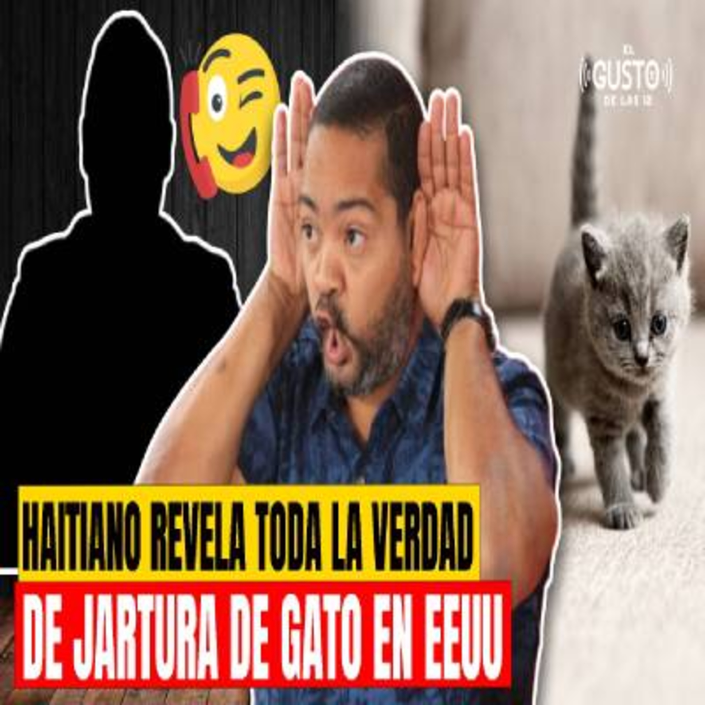 HAITIANO REVELA TODA LA VERDAD DE JARTURA DE GATO EN EEUU episode artwork
