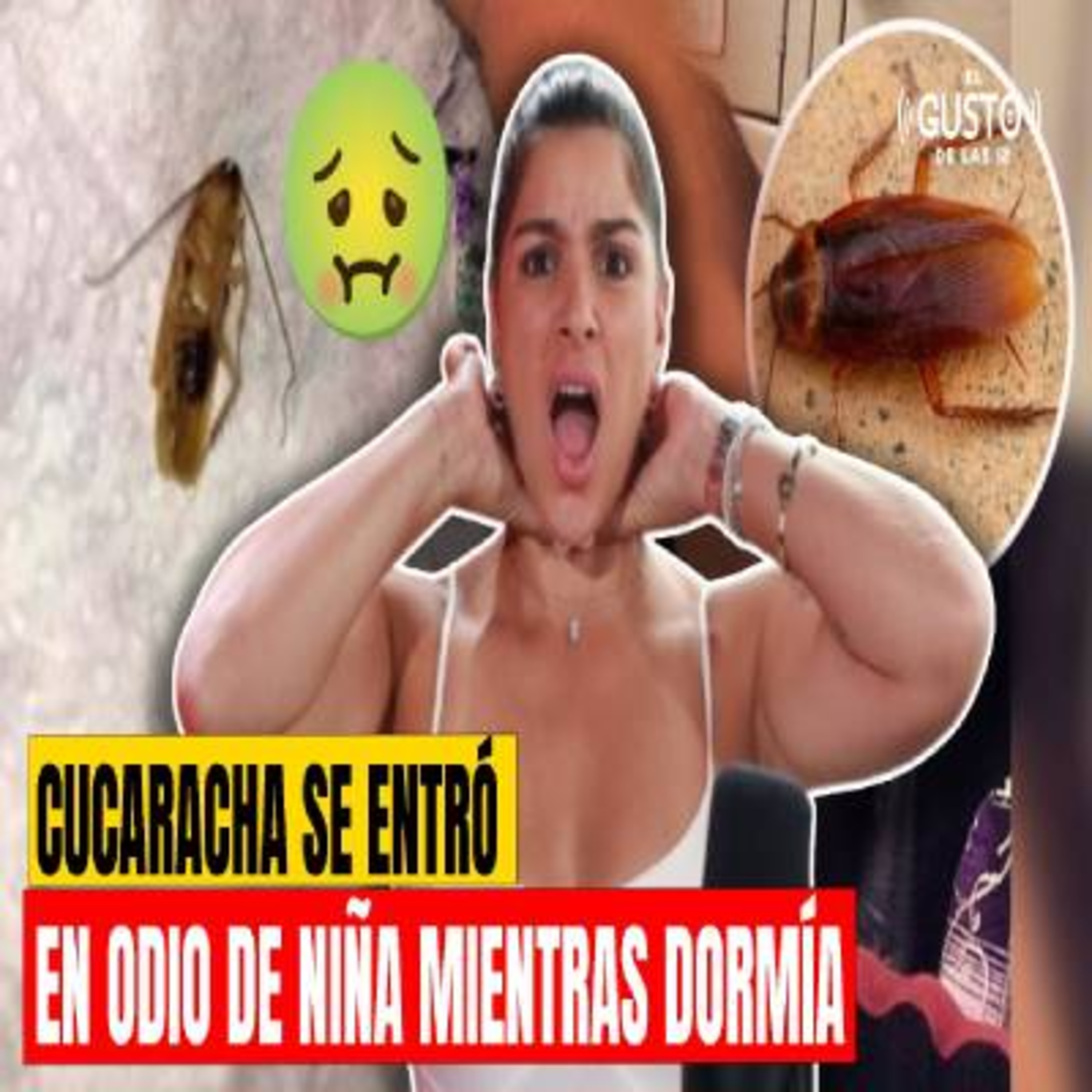 CUCARACHA SE ENTRÓ EN ODIO DE NIÑA MIENTRAS DORMÍA episode artwork