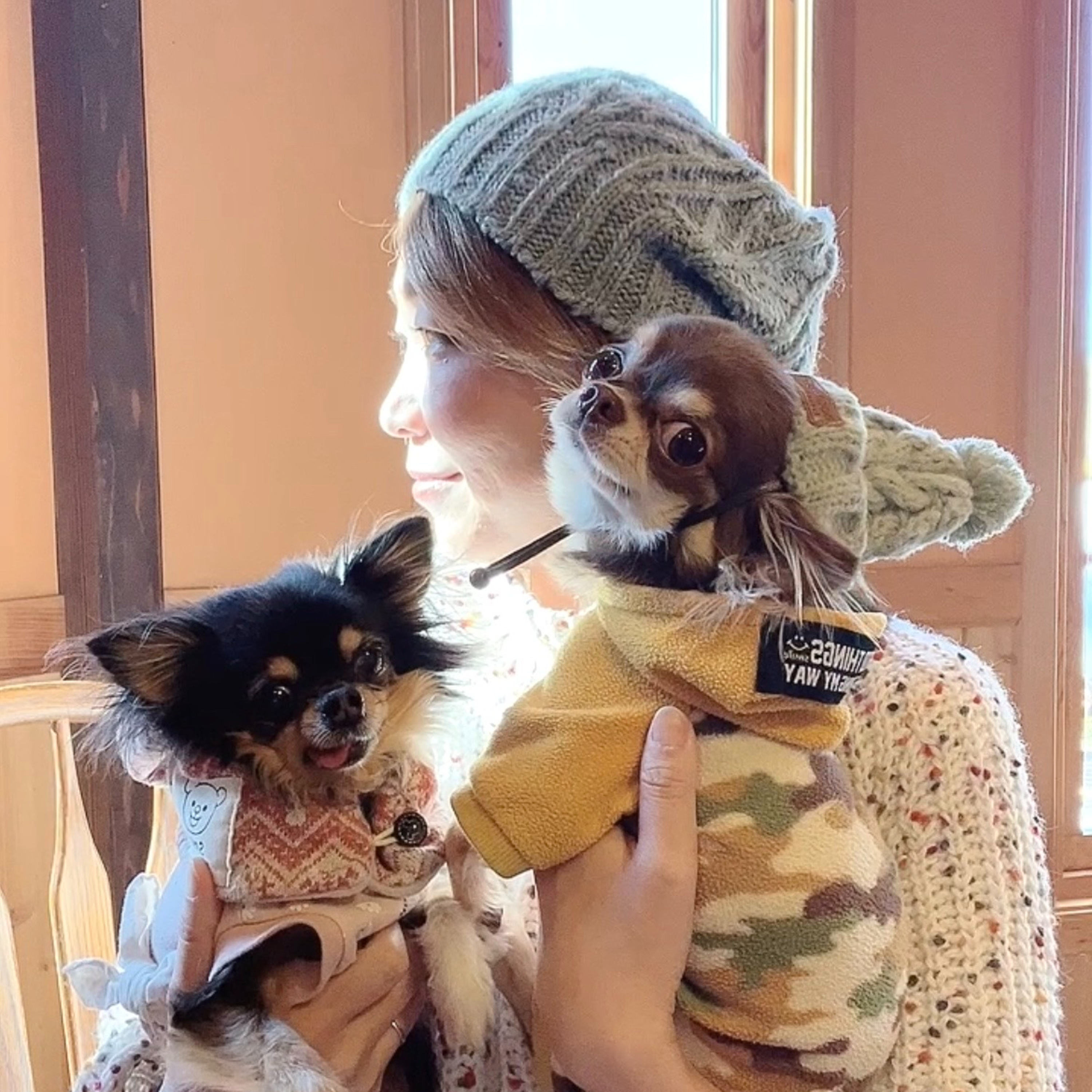 わんダフル・ライフ　Vol.19