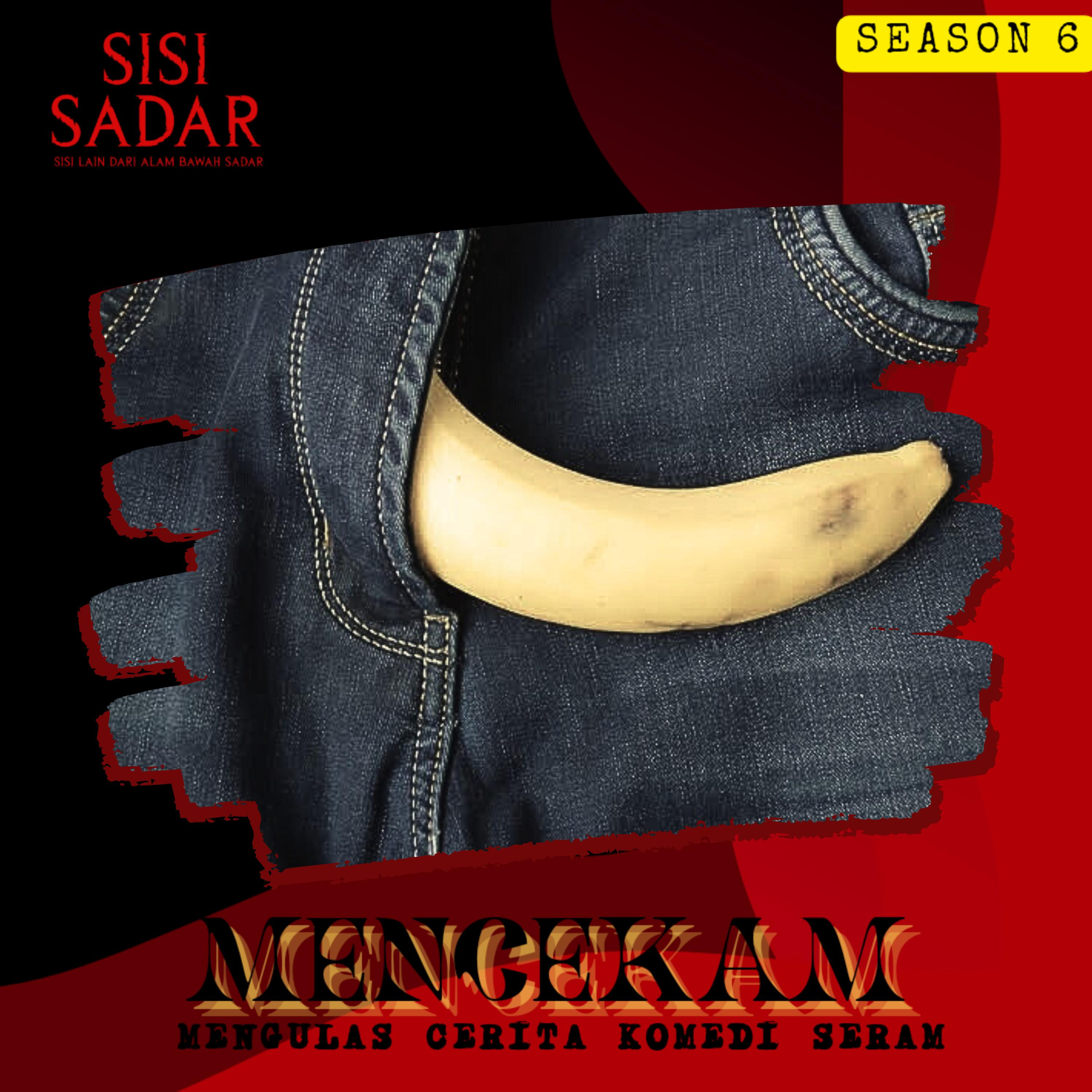 Sisi Sadar