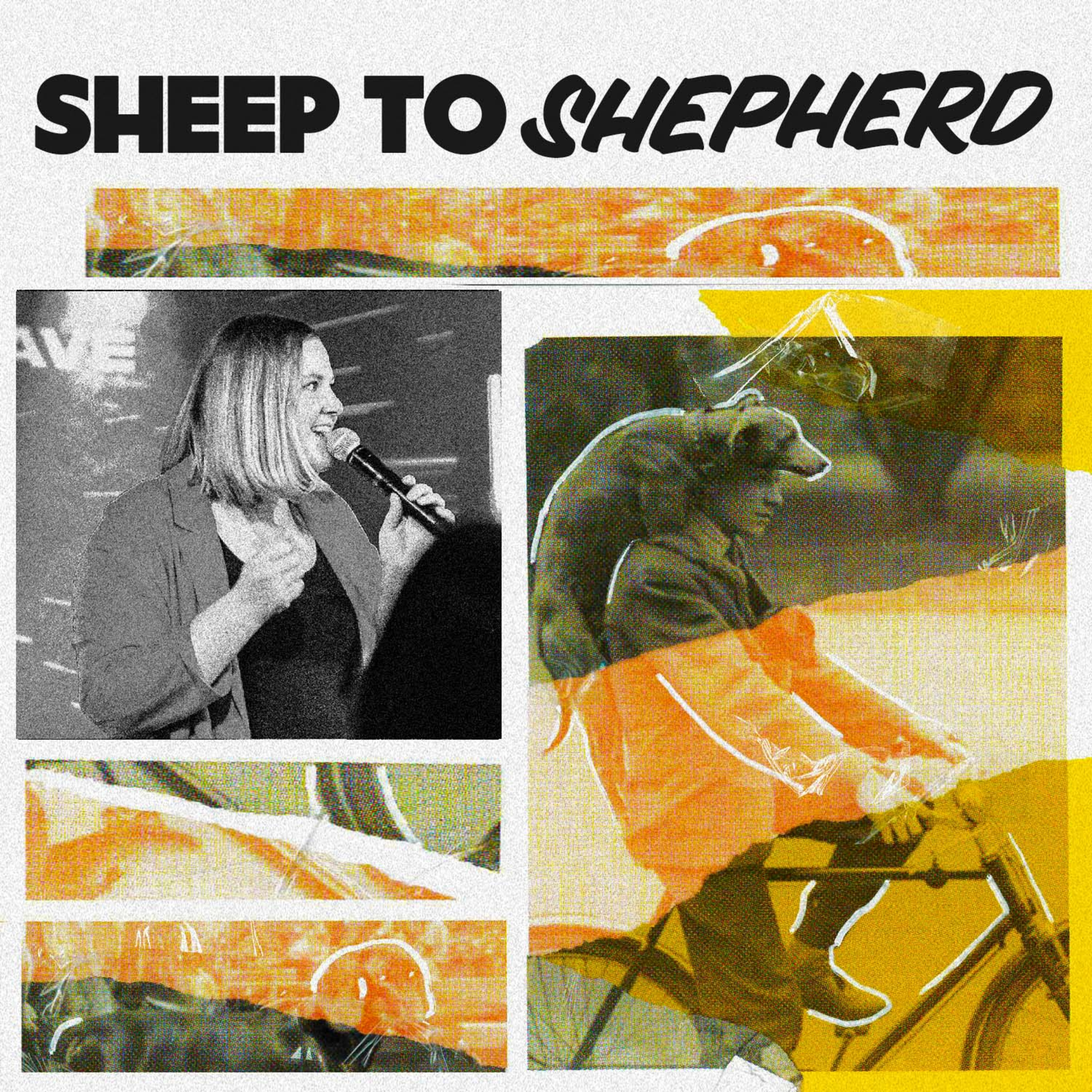 Sheep to Shepherd (Ps. Meg Peterson) episode artwork