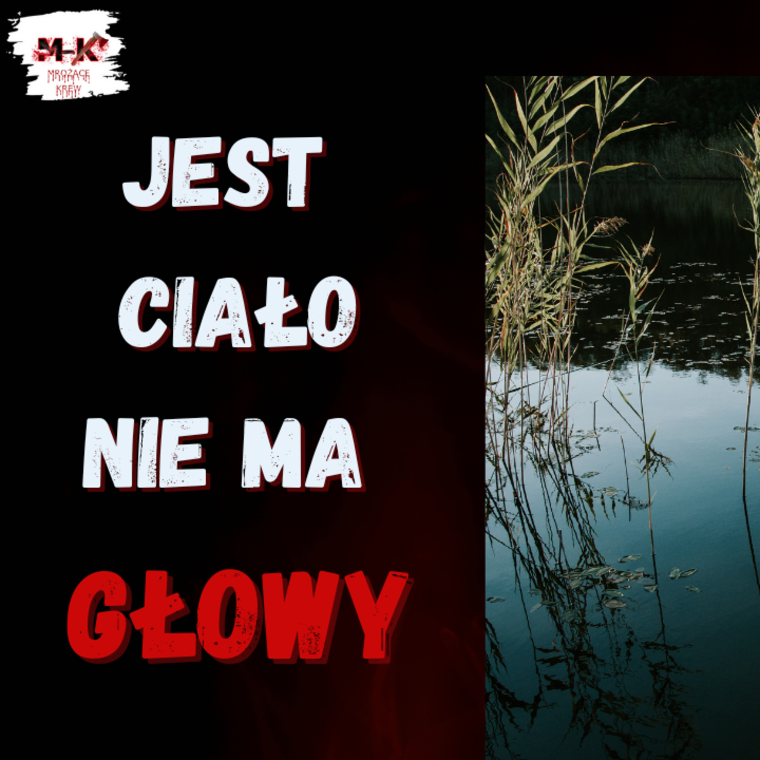 Makabryczne znalezisko na Szlaku Skarszewskim episode artwork
