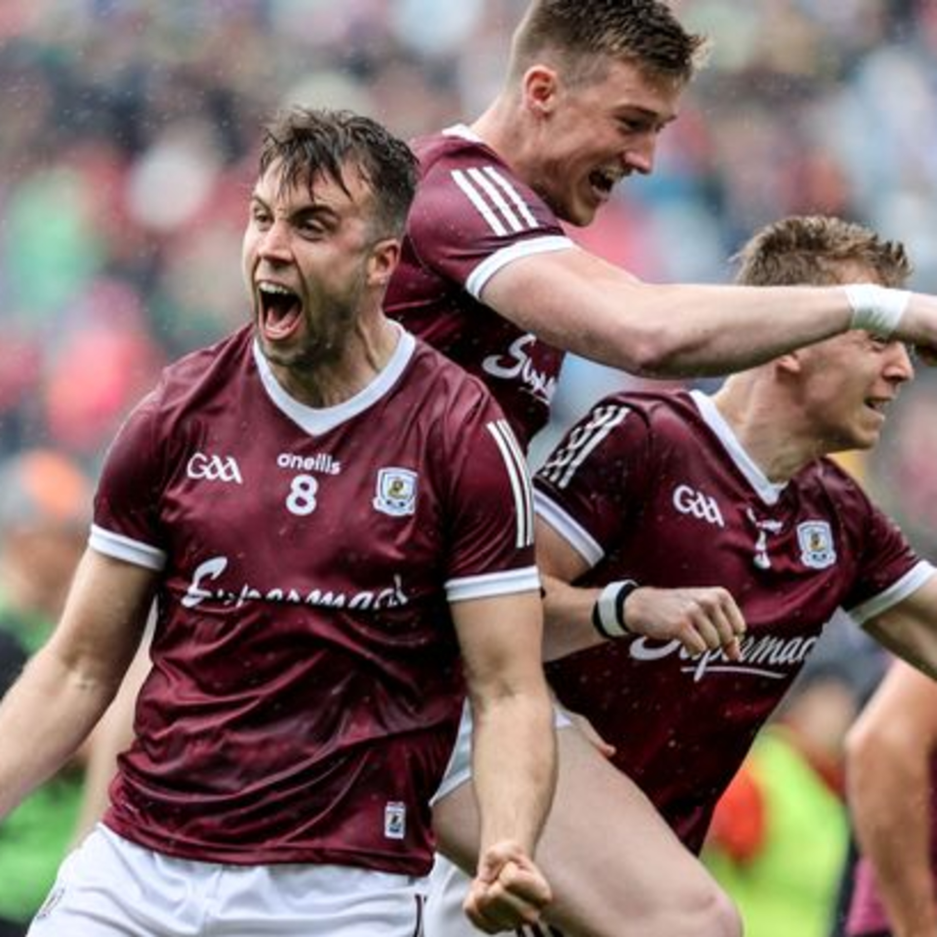 The Maroon And White Pod
