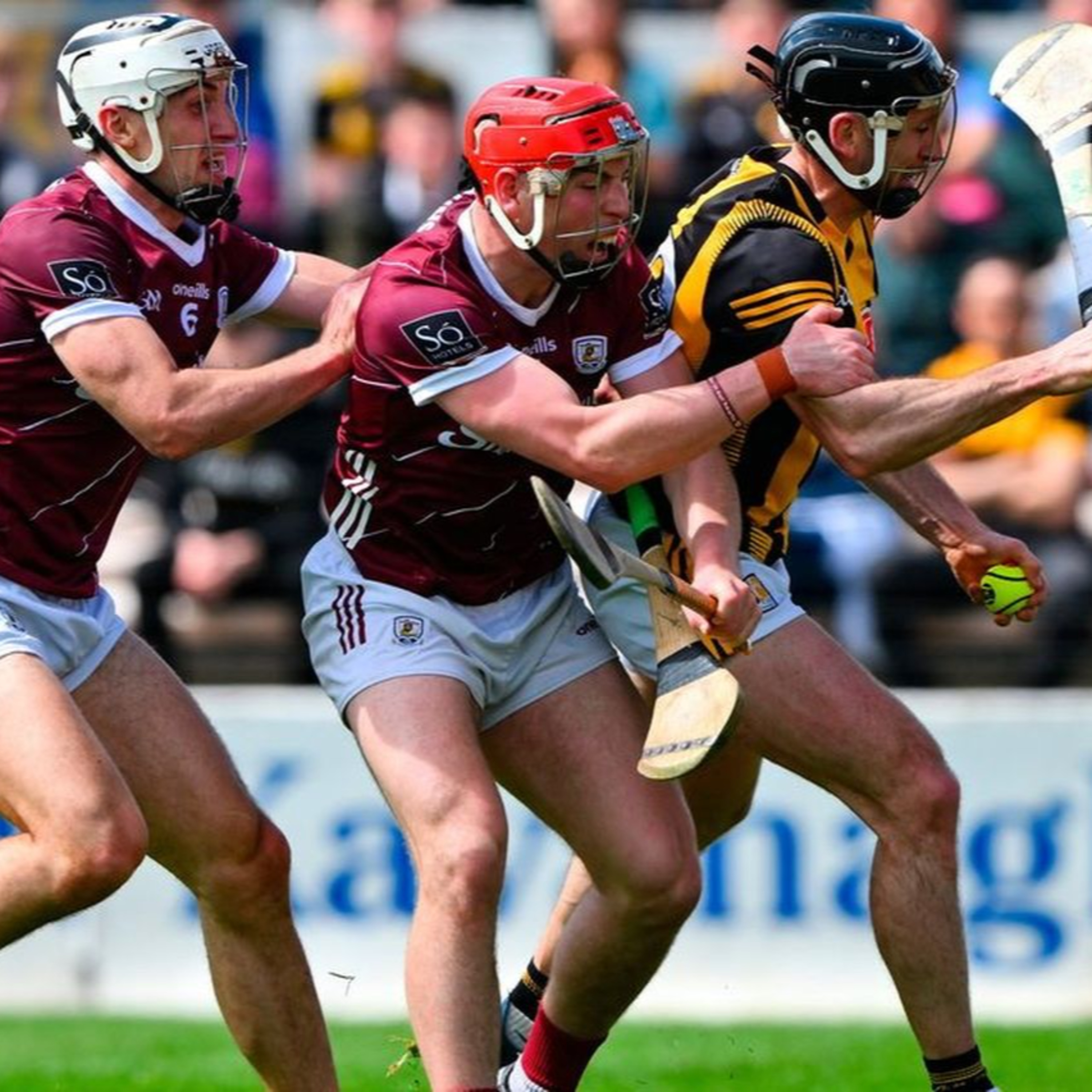 The Maroon And White Pod