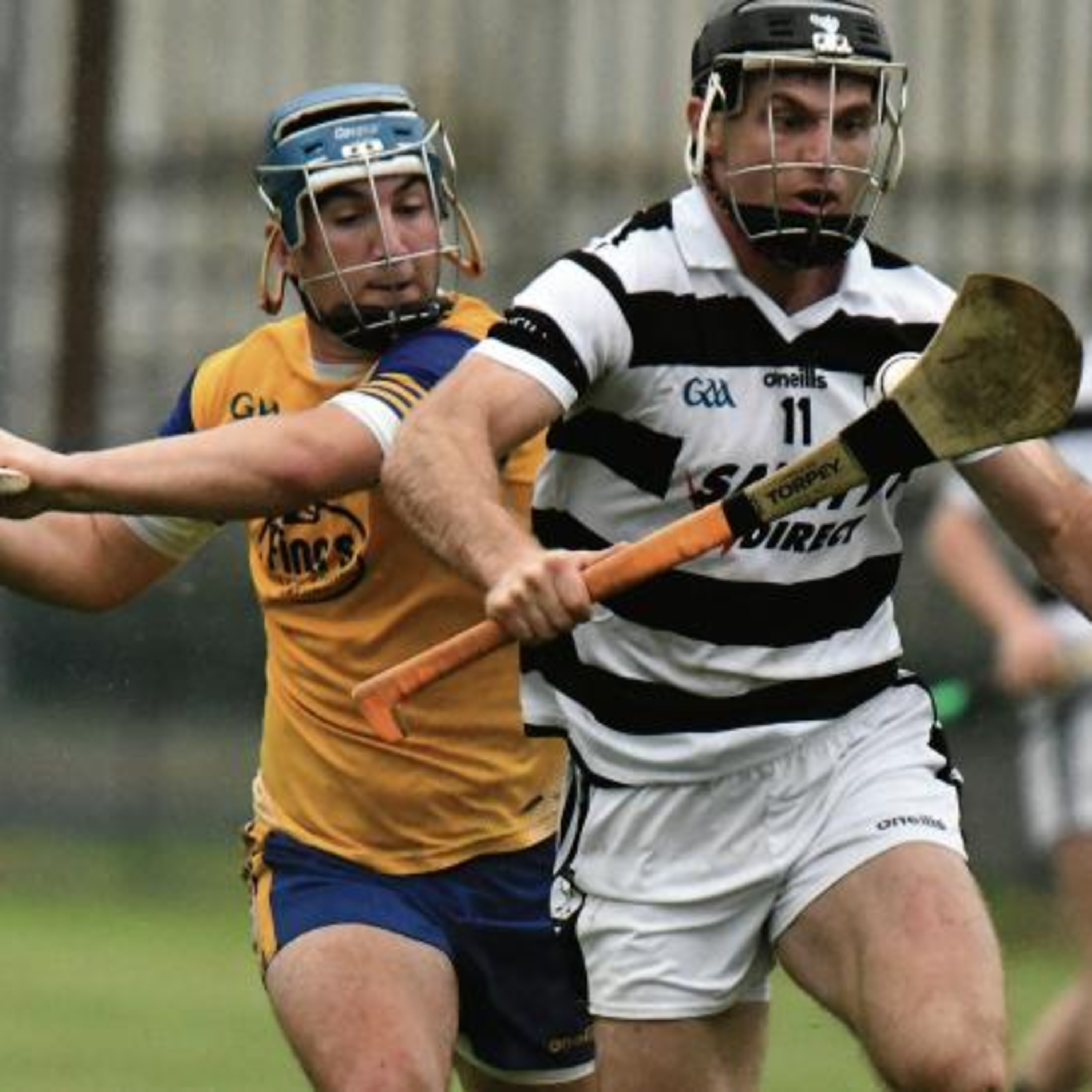 The Maroon And White Pod