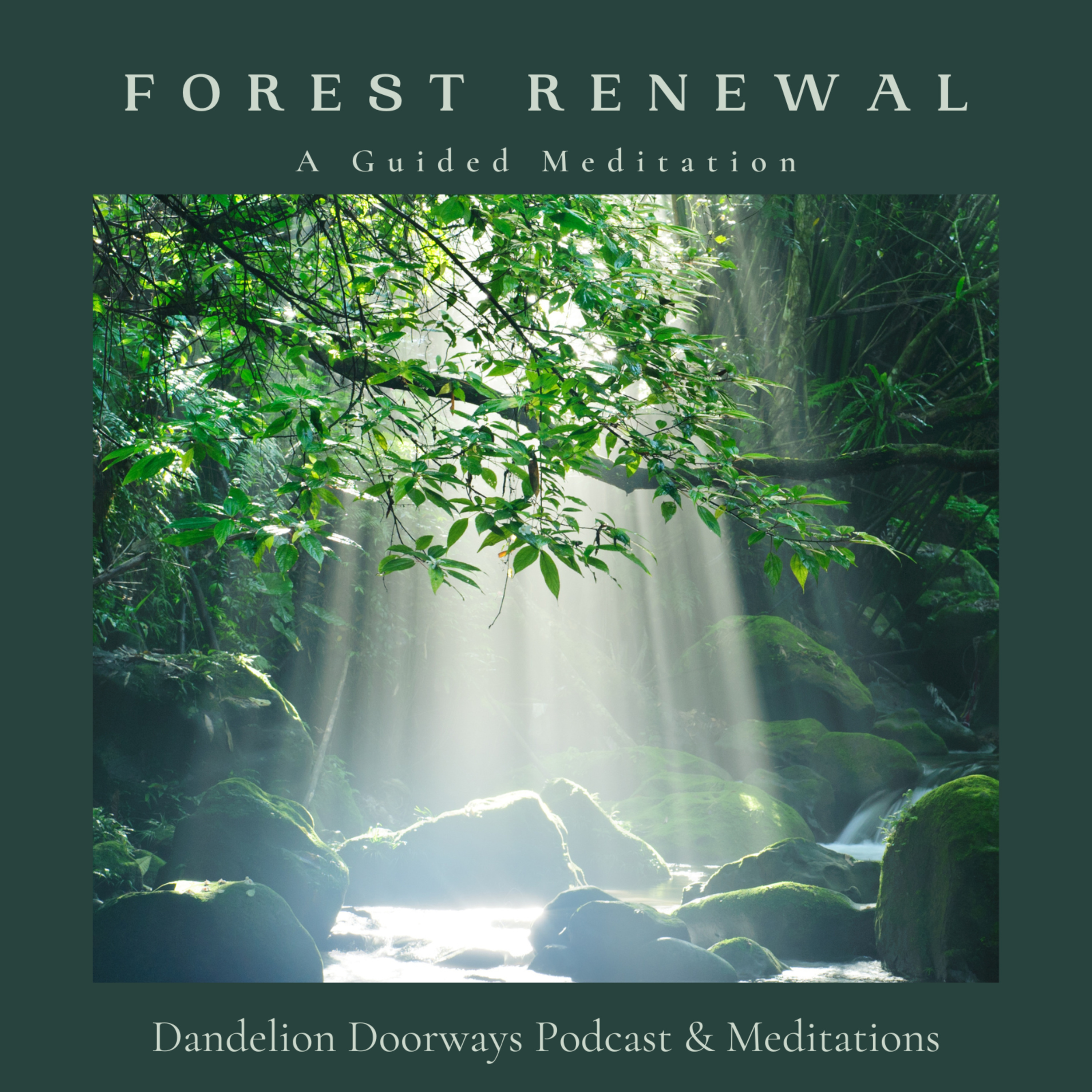 Forest Renewal episode artwork