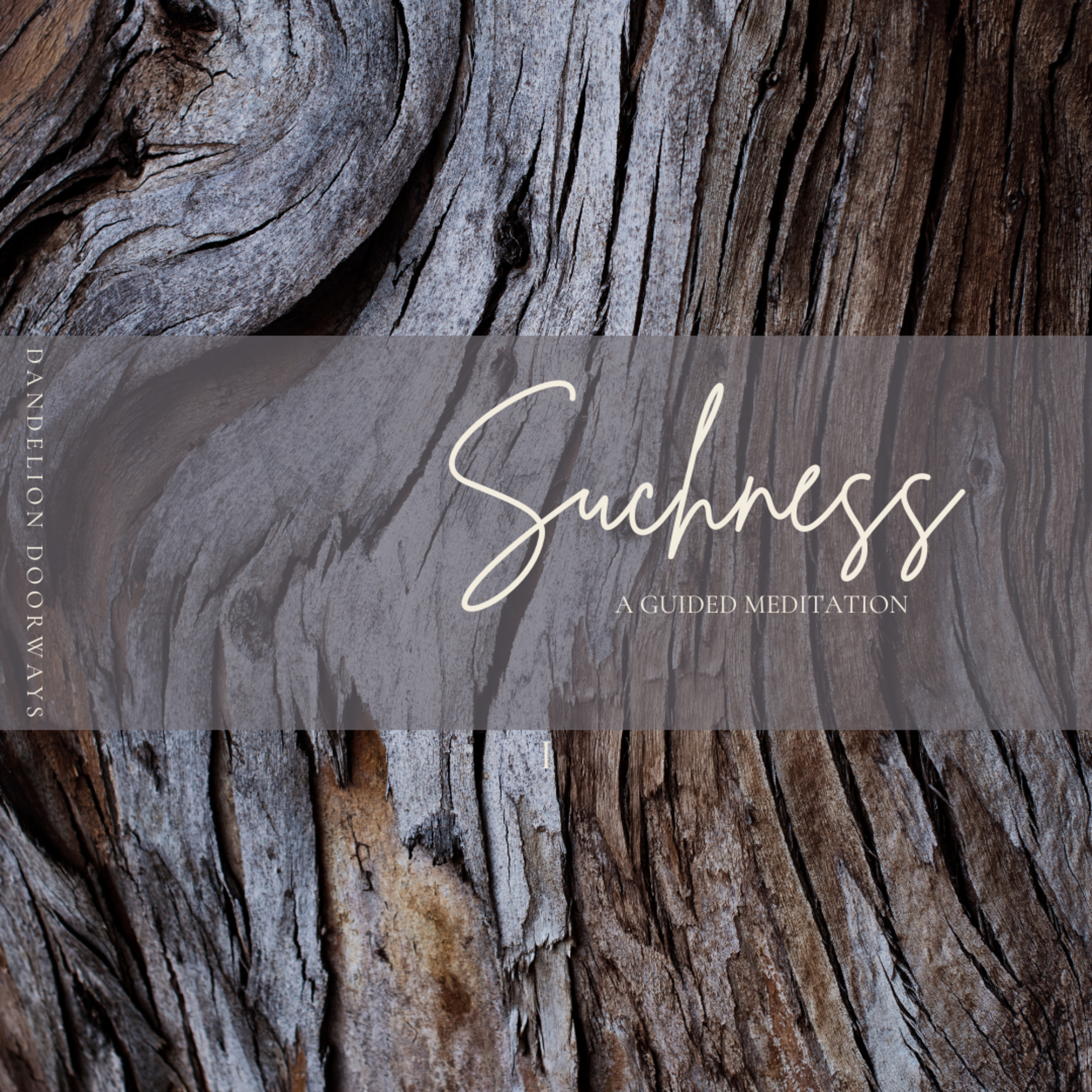 Suchness: Discovering the Interconnectedness of Being episode artwork