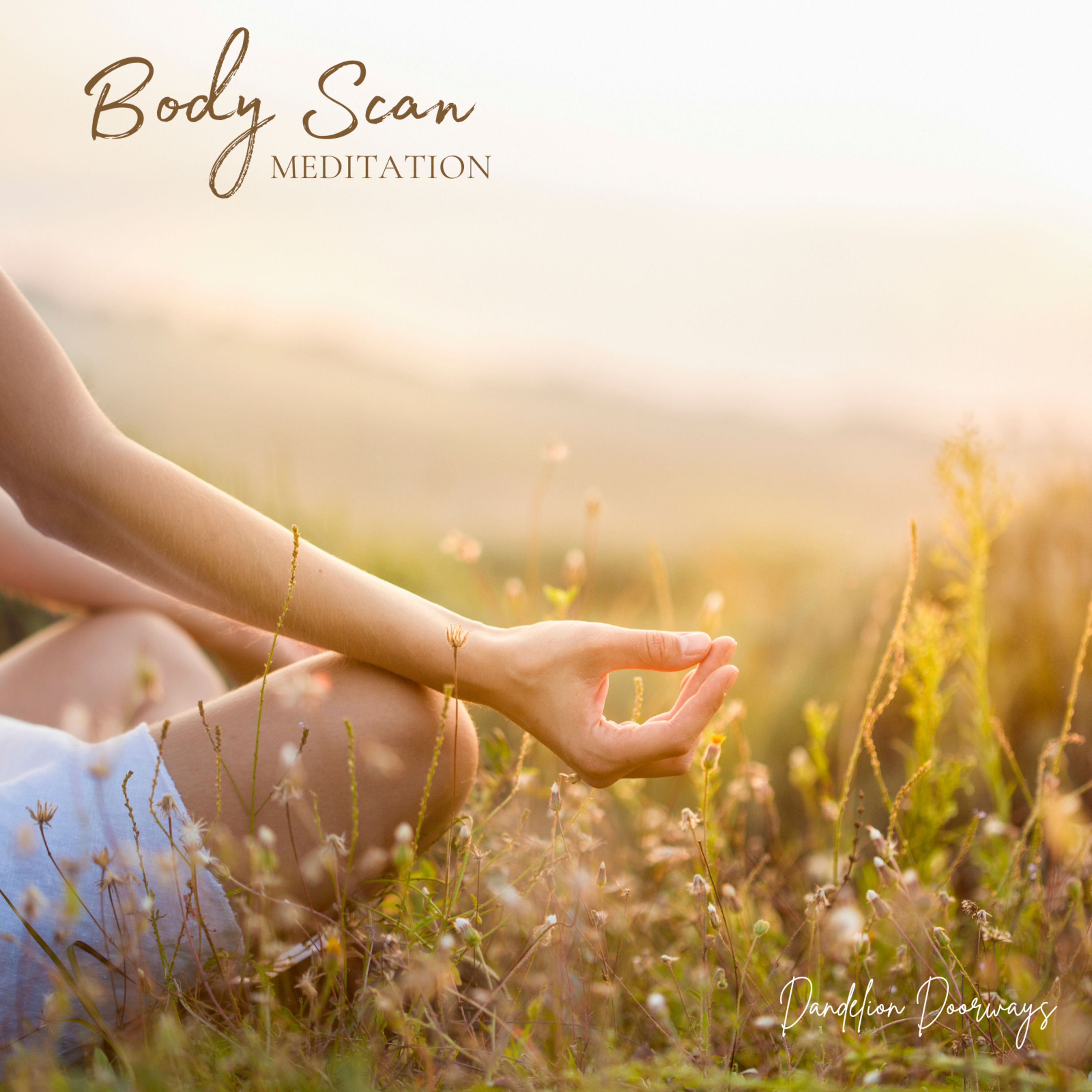 Body Scan Meditation episode artwork