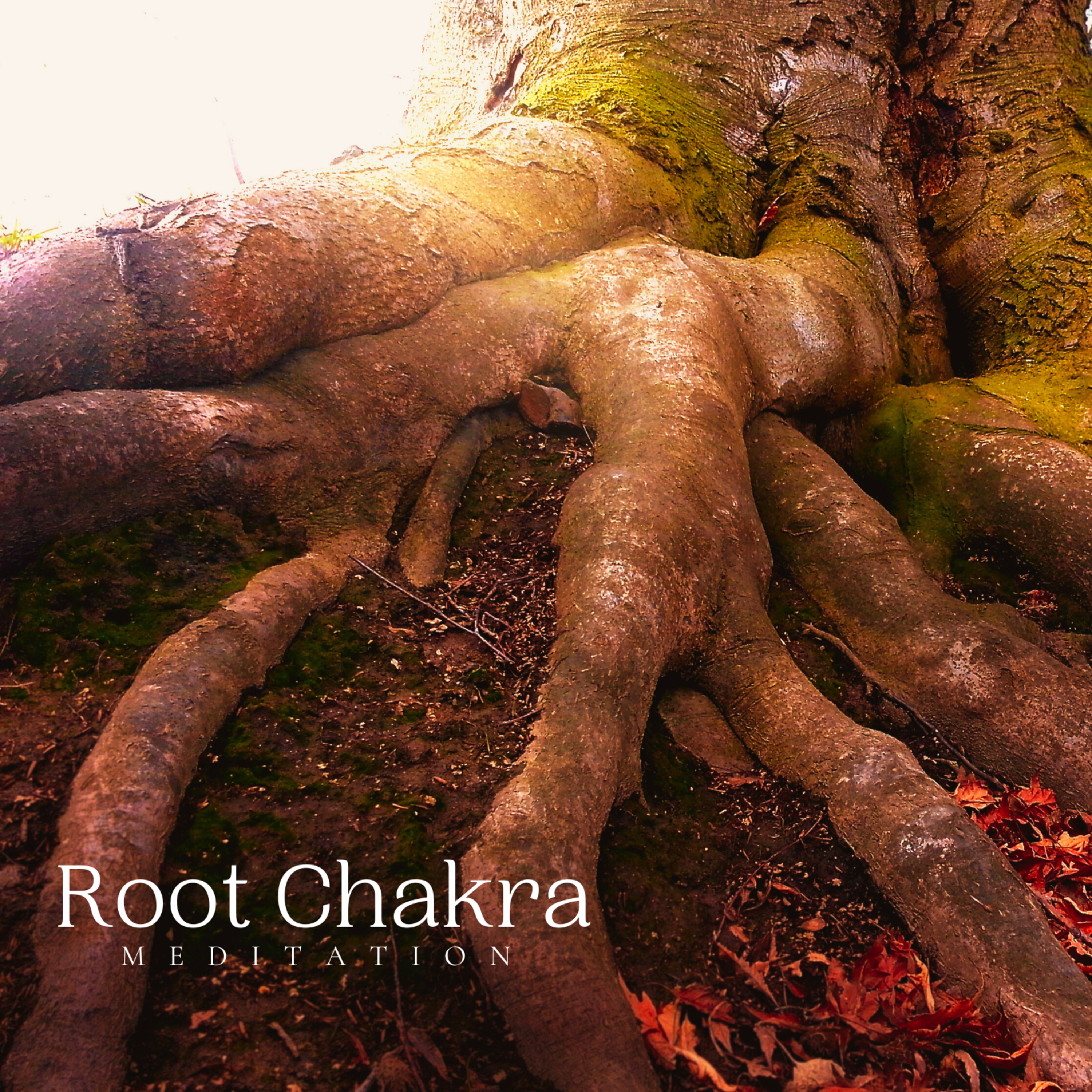 Root Chakra Meditation episode artwork