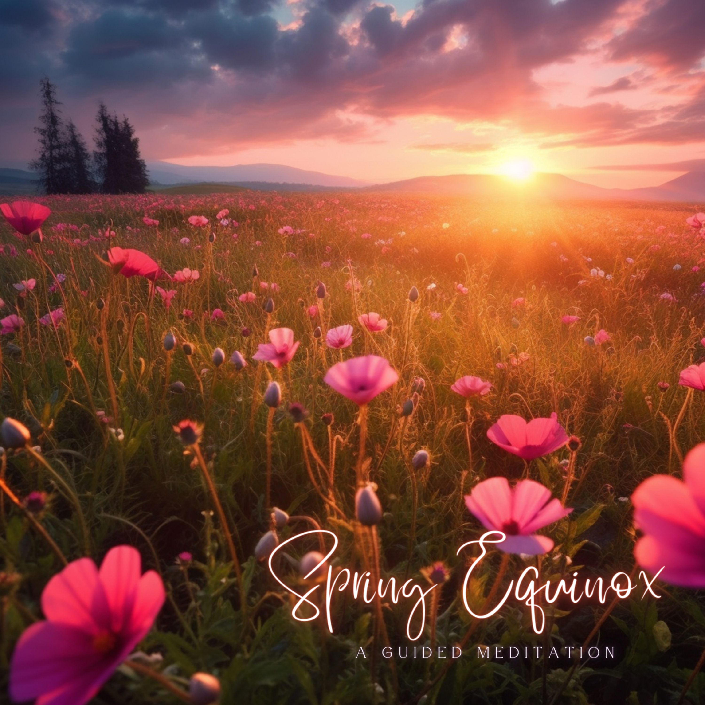 Spring Equinox Meditation episode artwork