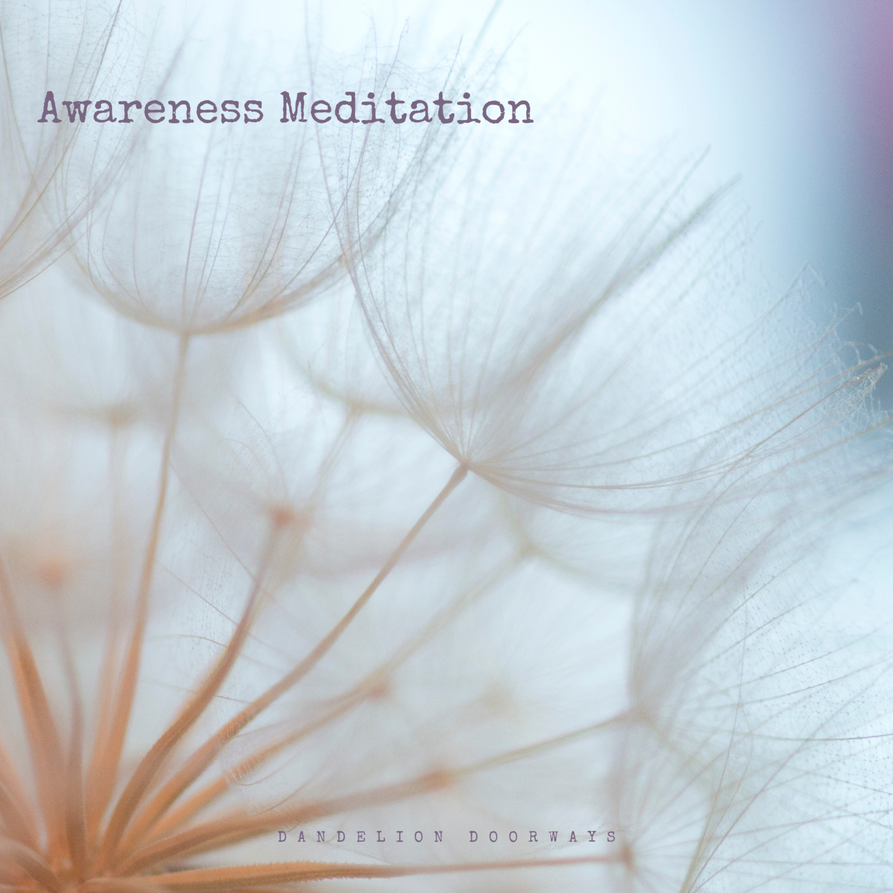 Awareness Meditation episode artwork