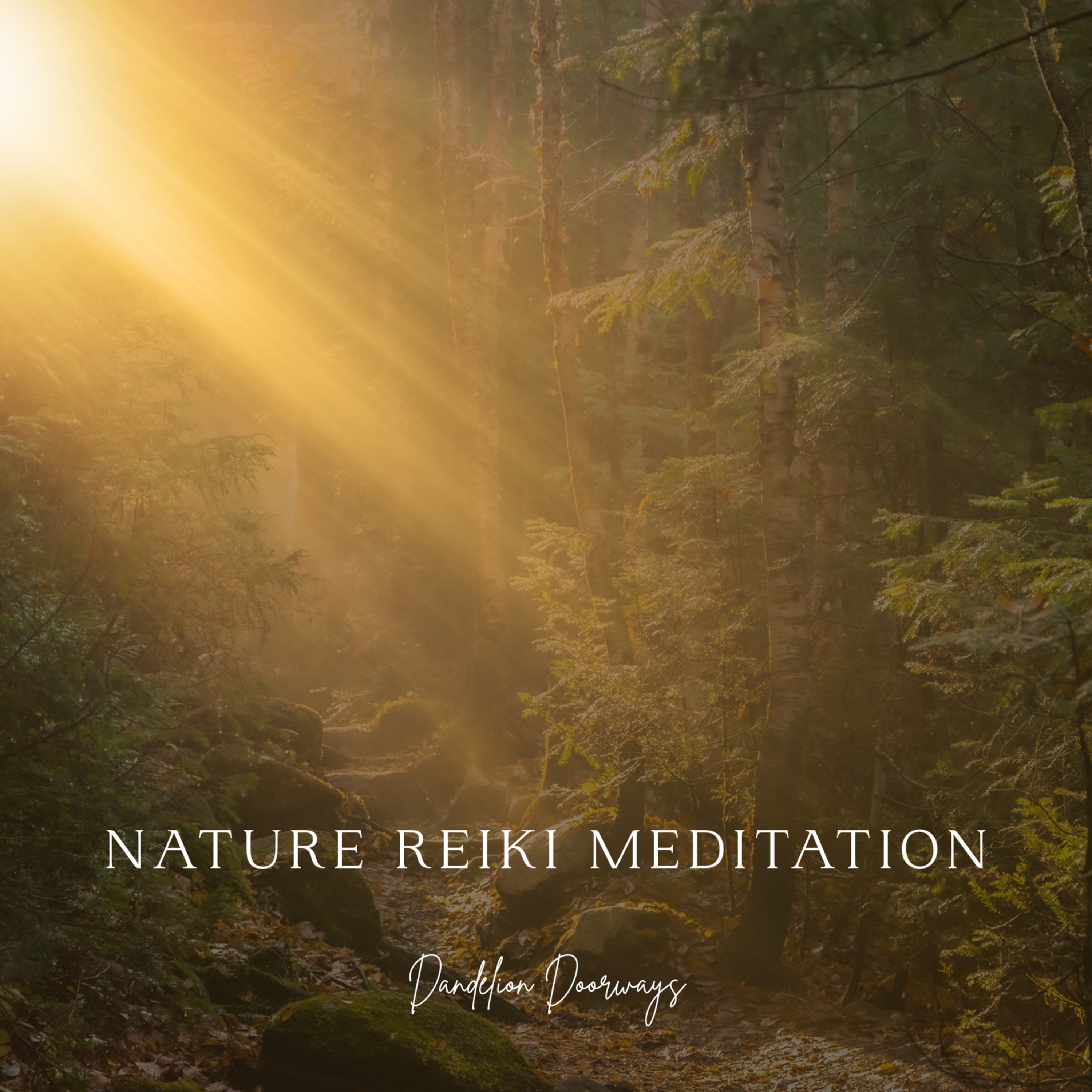 Reiki Nature Meditation For Inner Peace & Healing episode artwork