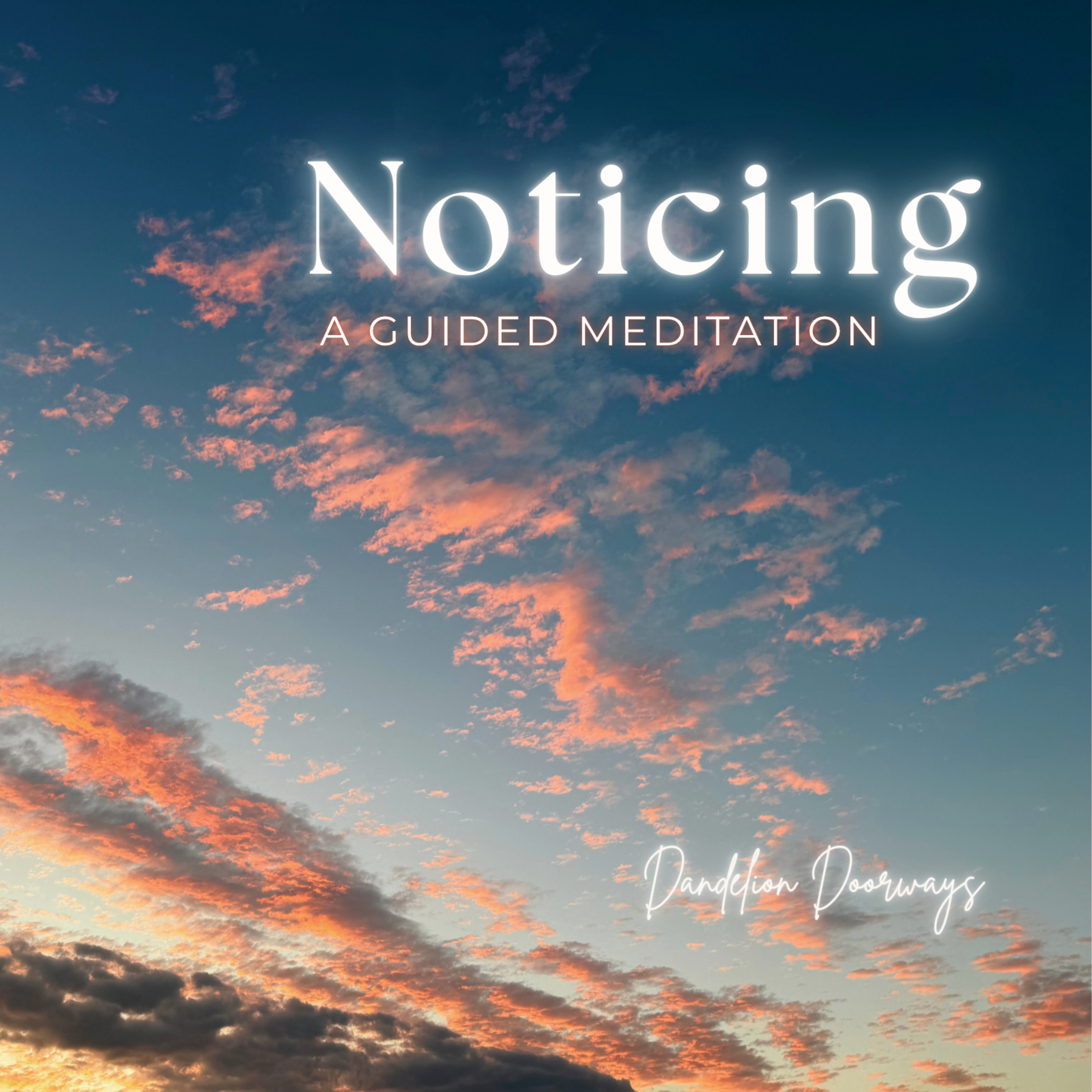 Noticing | A Meditation for Coming Home to the Present Moment episode artwork