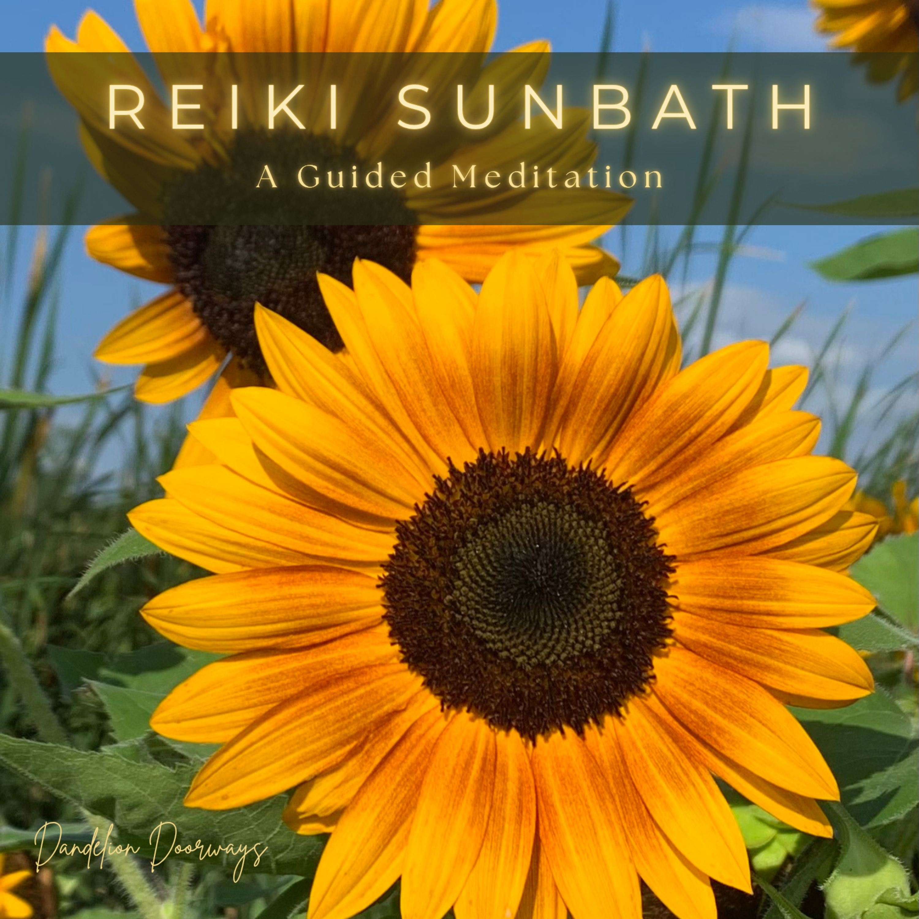 Reiki Sunbath || A Guided Meditation episode artwork