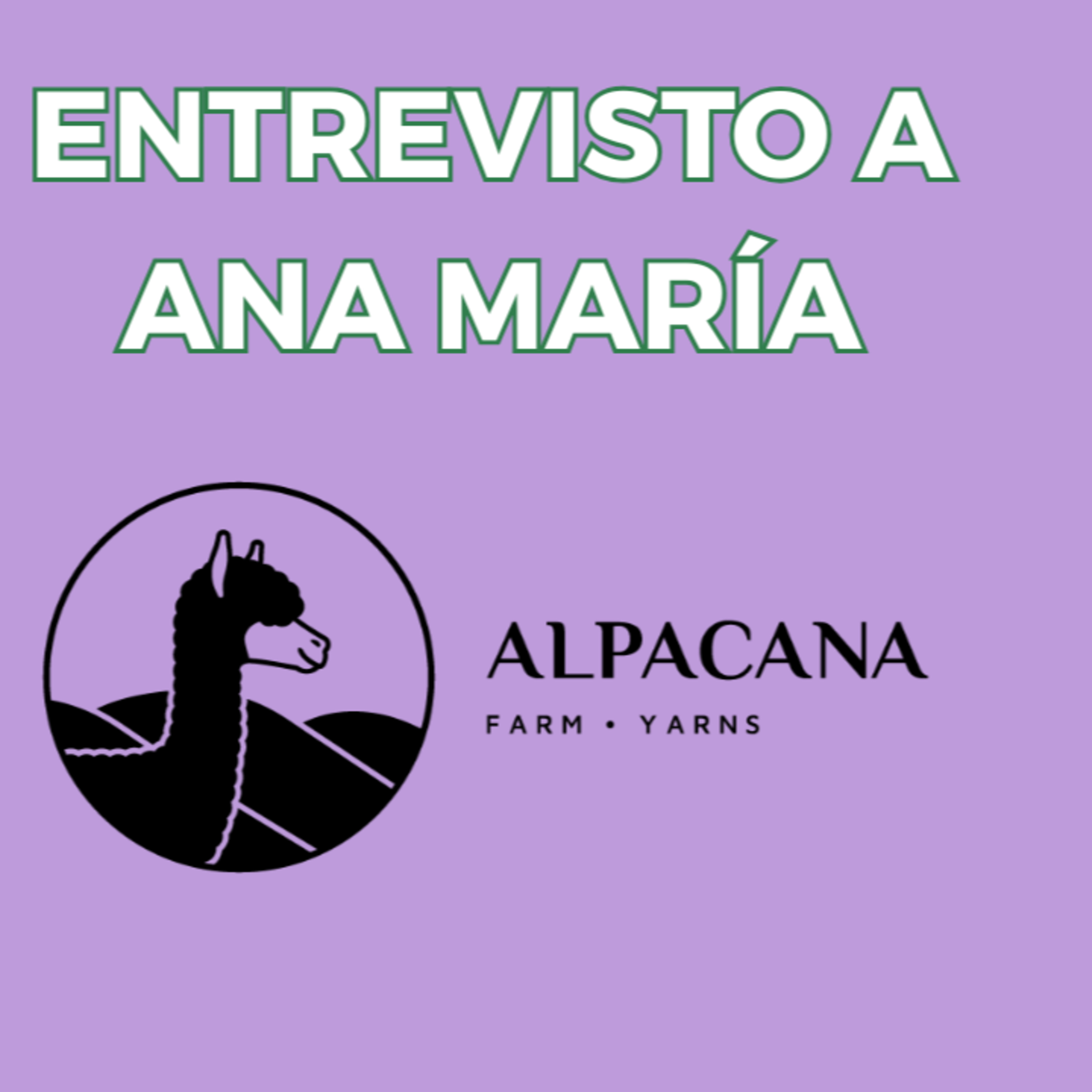 Entrevisto a Ana María de Alpacana episode artwork