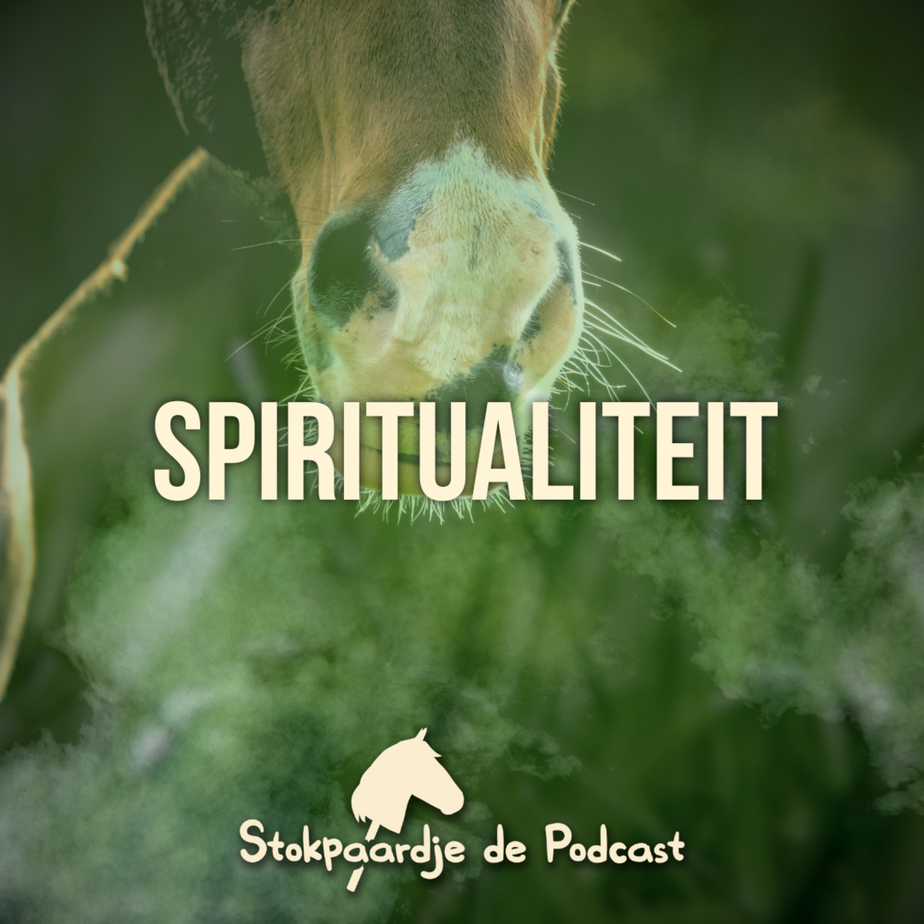 Stokpaardje de Podcast