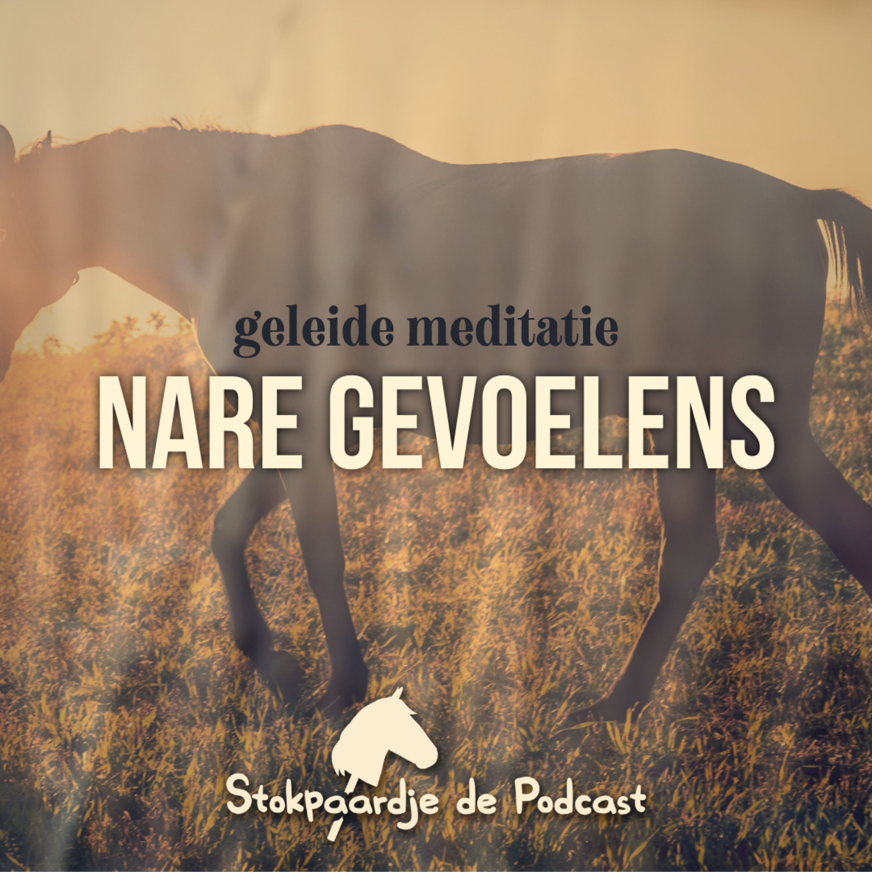 Stokpaardje de Podcast