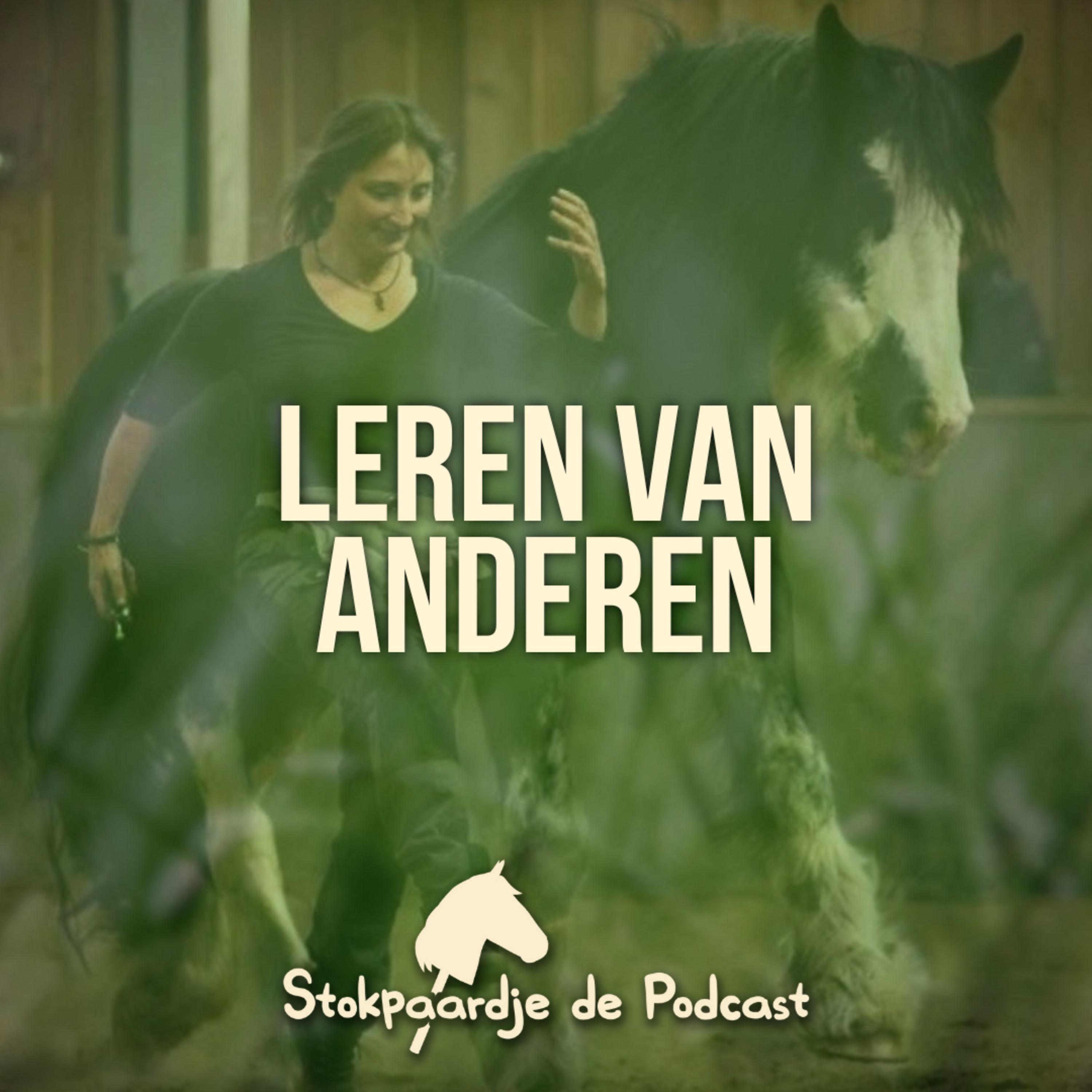 Stokpaardje de Podcast