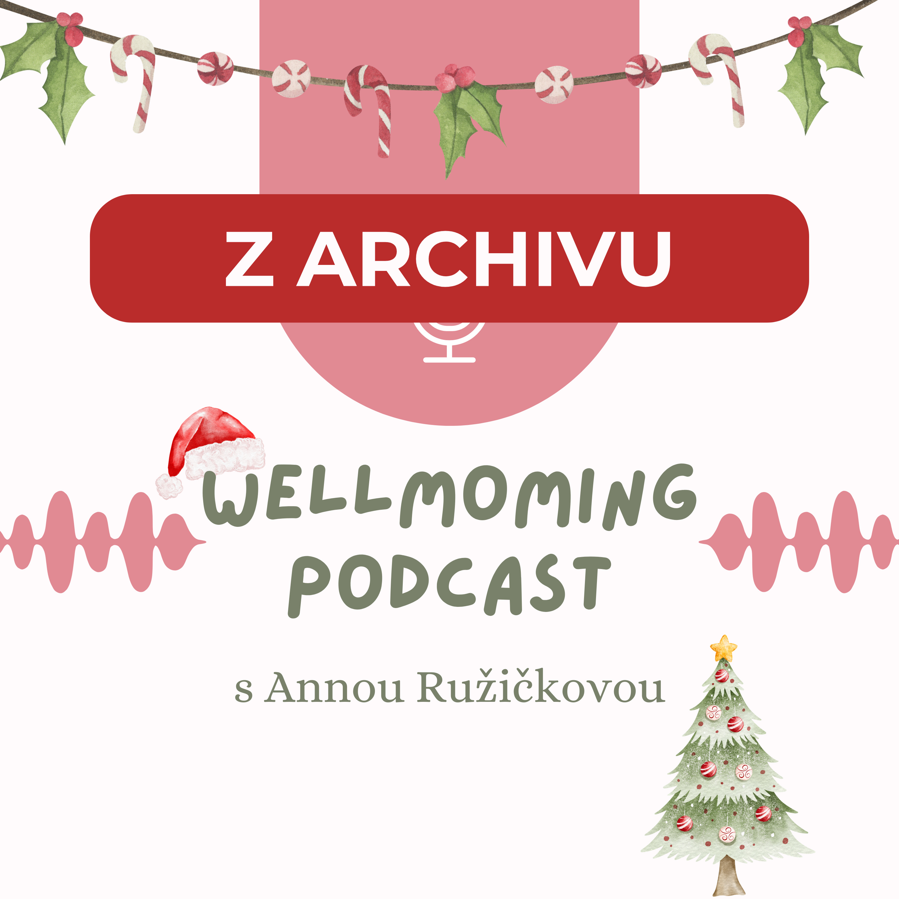 [Z ARCHIVU] 13 WellMoming: MÁMA přehlcená informacemi episode artwork
