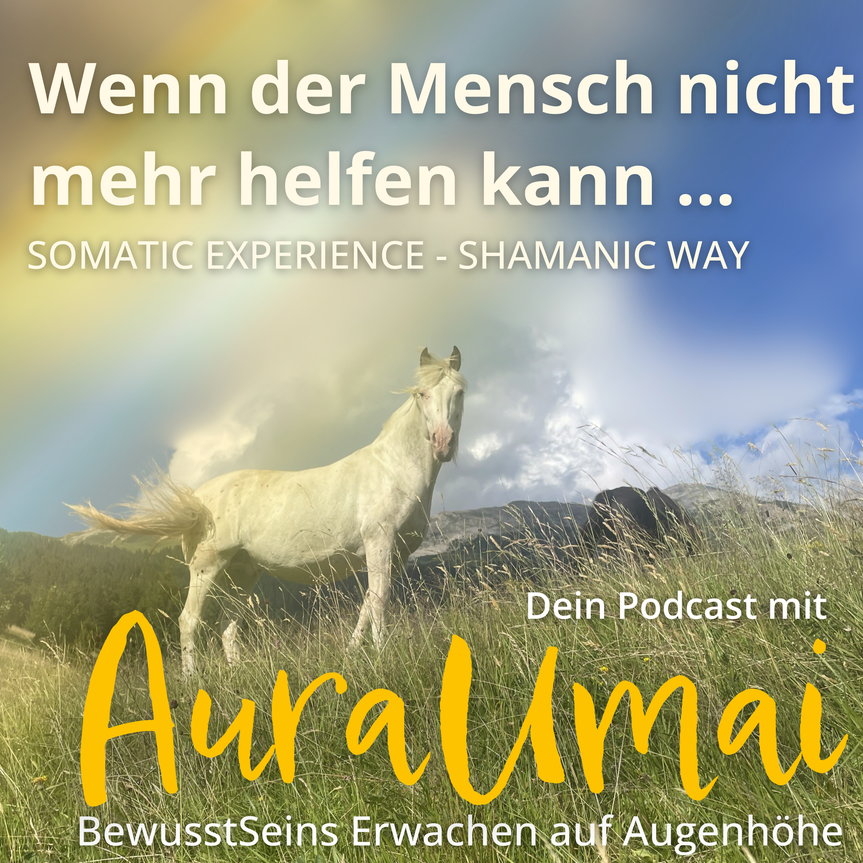 BewusstSeins Erwachen auf Augenhöhe