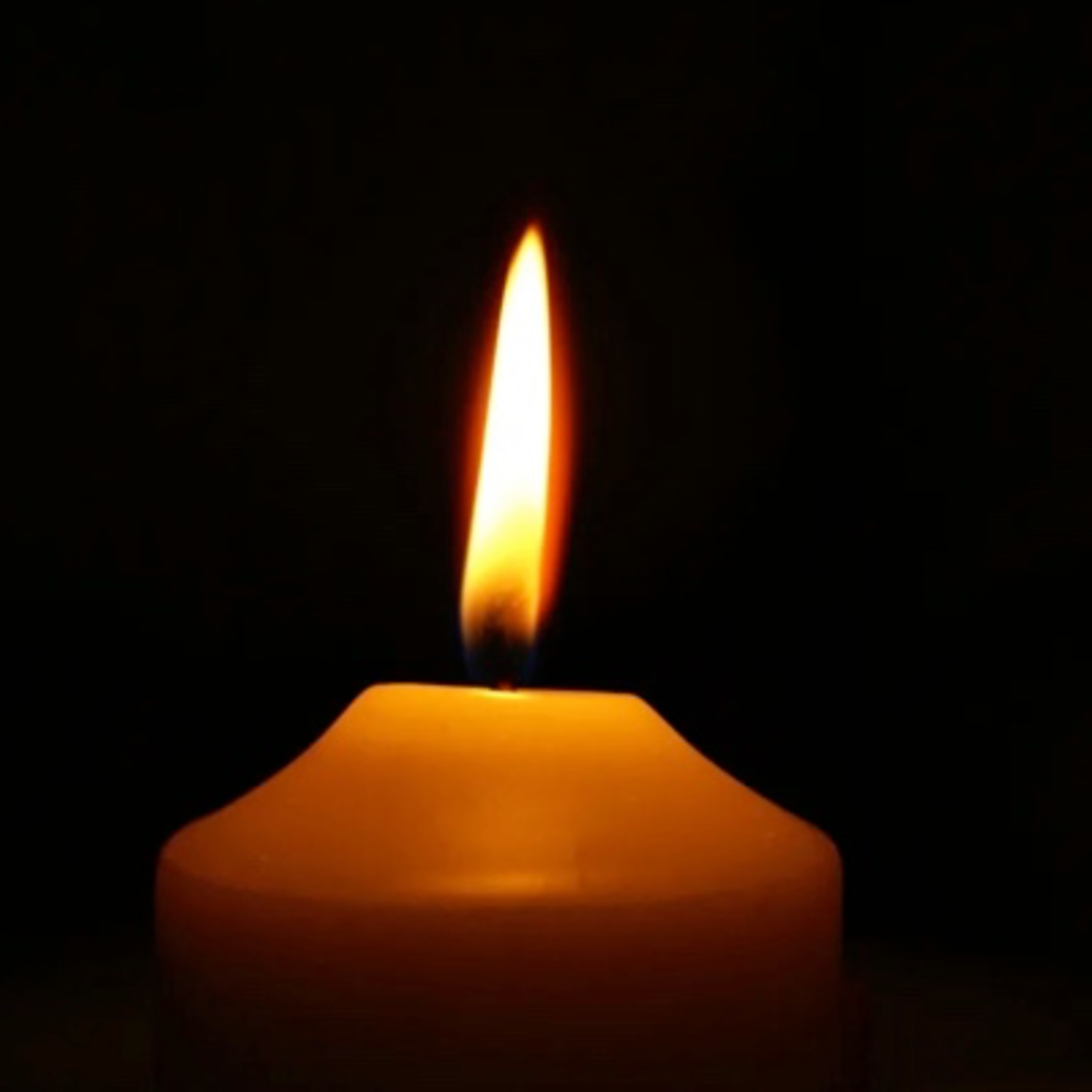 What Is Your Life's Purpose?