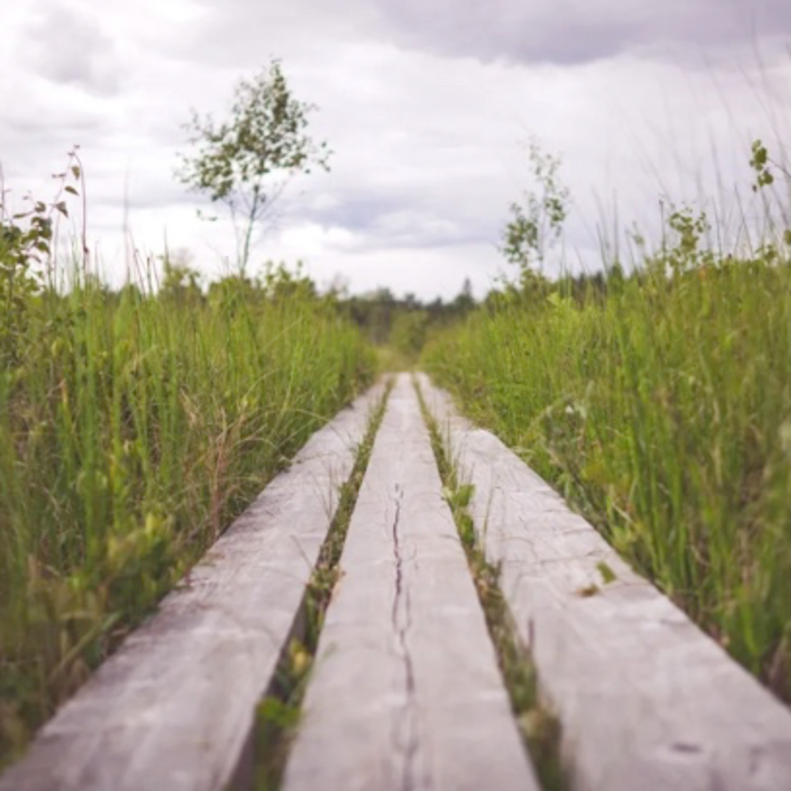 Walking On God's Straight & Narrow Path!