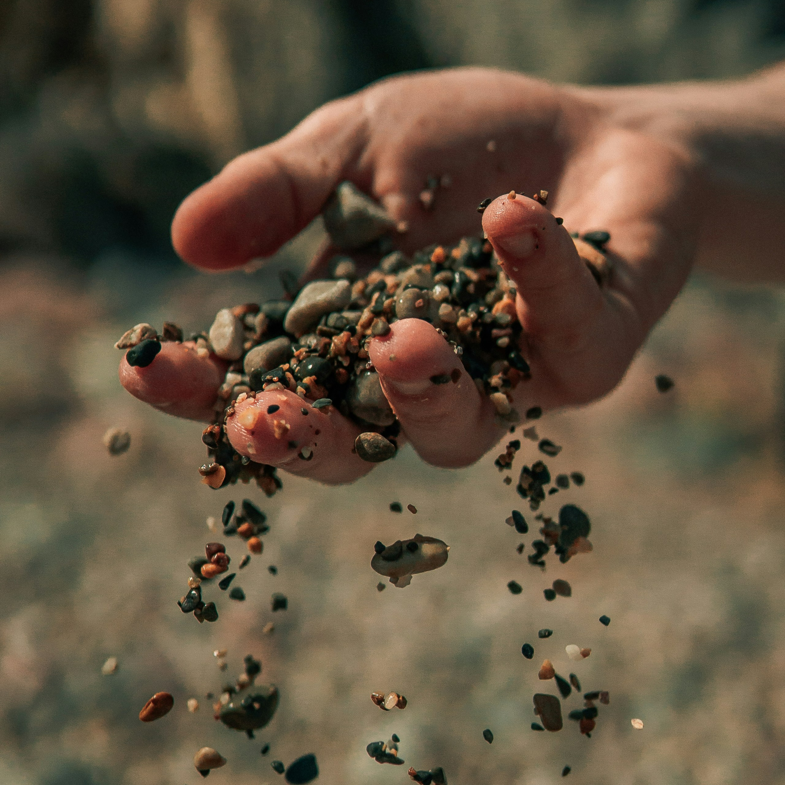Sermon: Sowing the Seeds of Love episode artwork