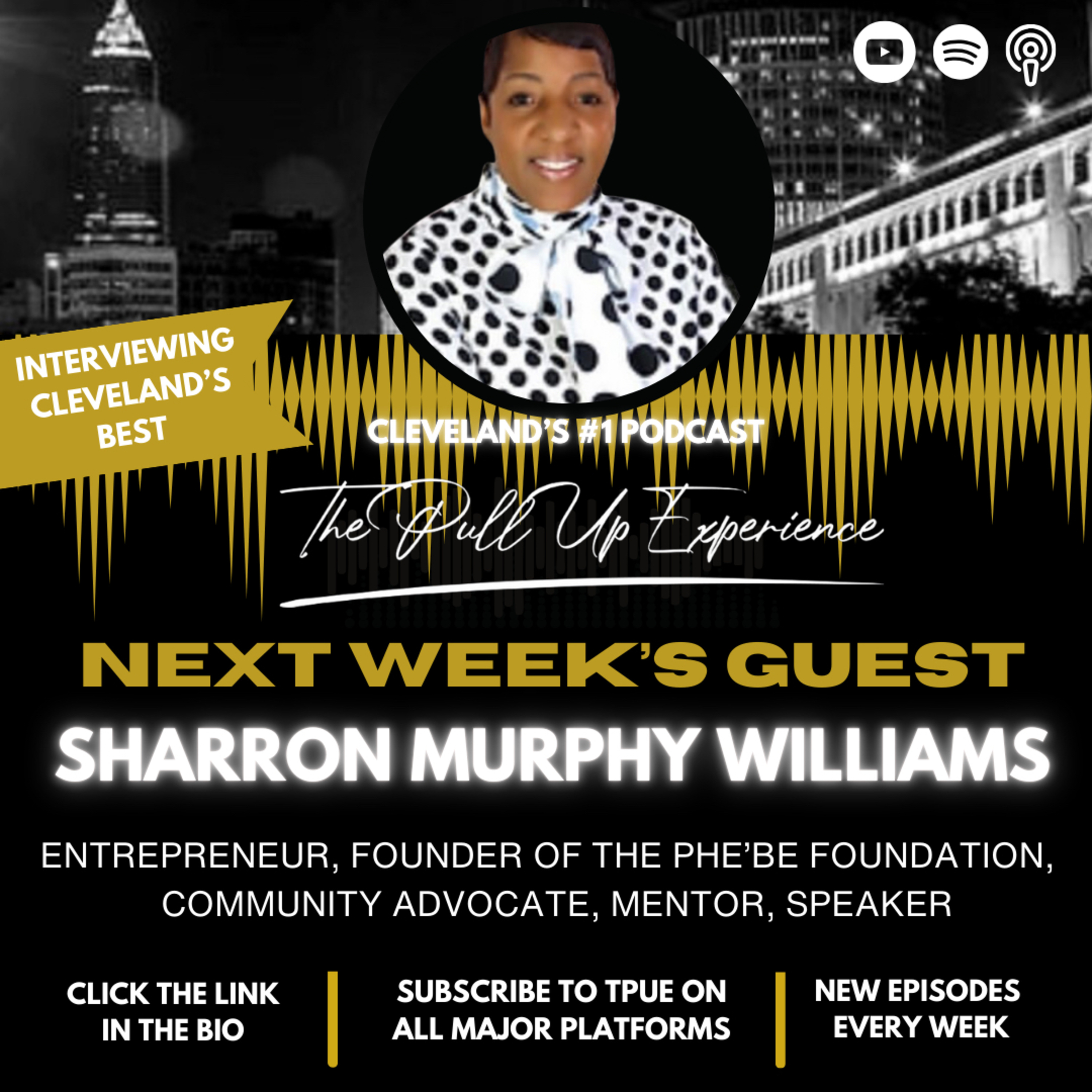 Minding My Black Owned Business EP #227 W/ Sharron Murphy- Williams episode artwork