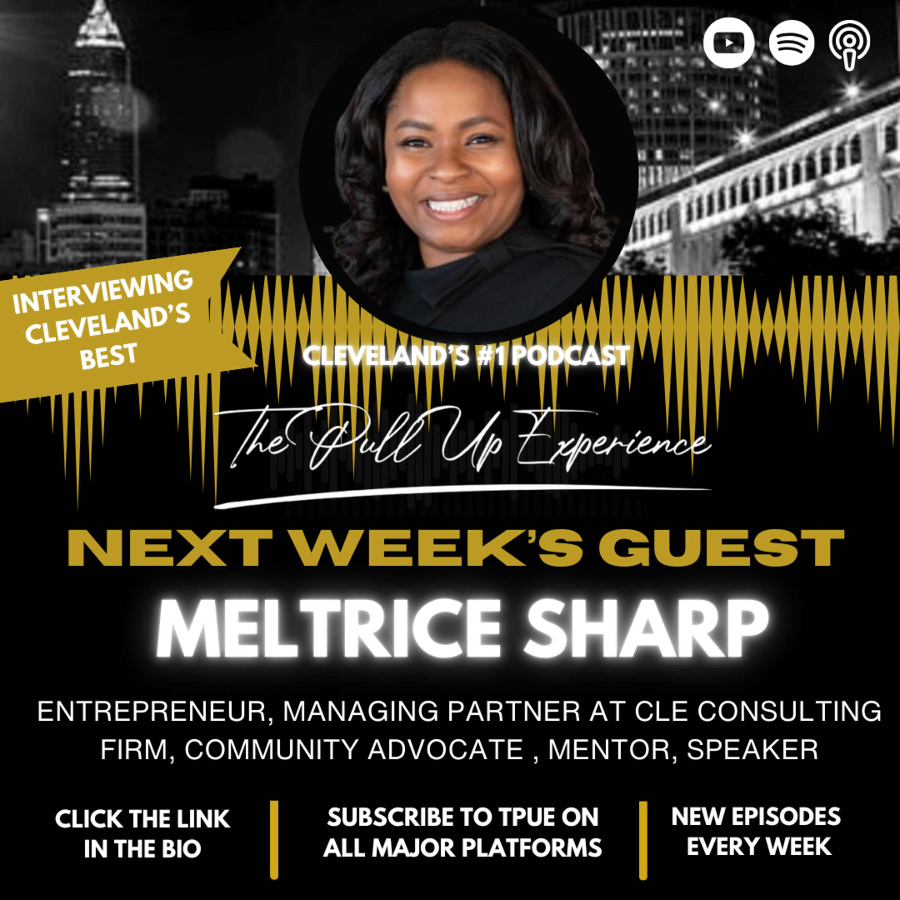 Knowledge Is The New Currency EP #223 W/ Meltrice Sharp episode artwork