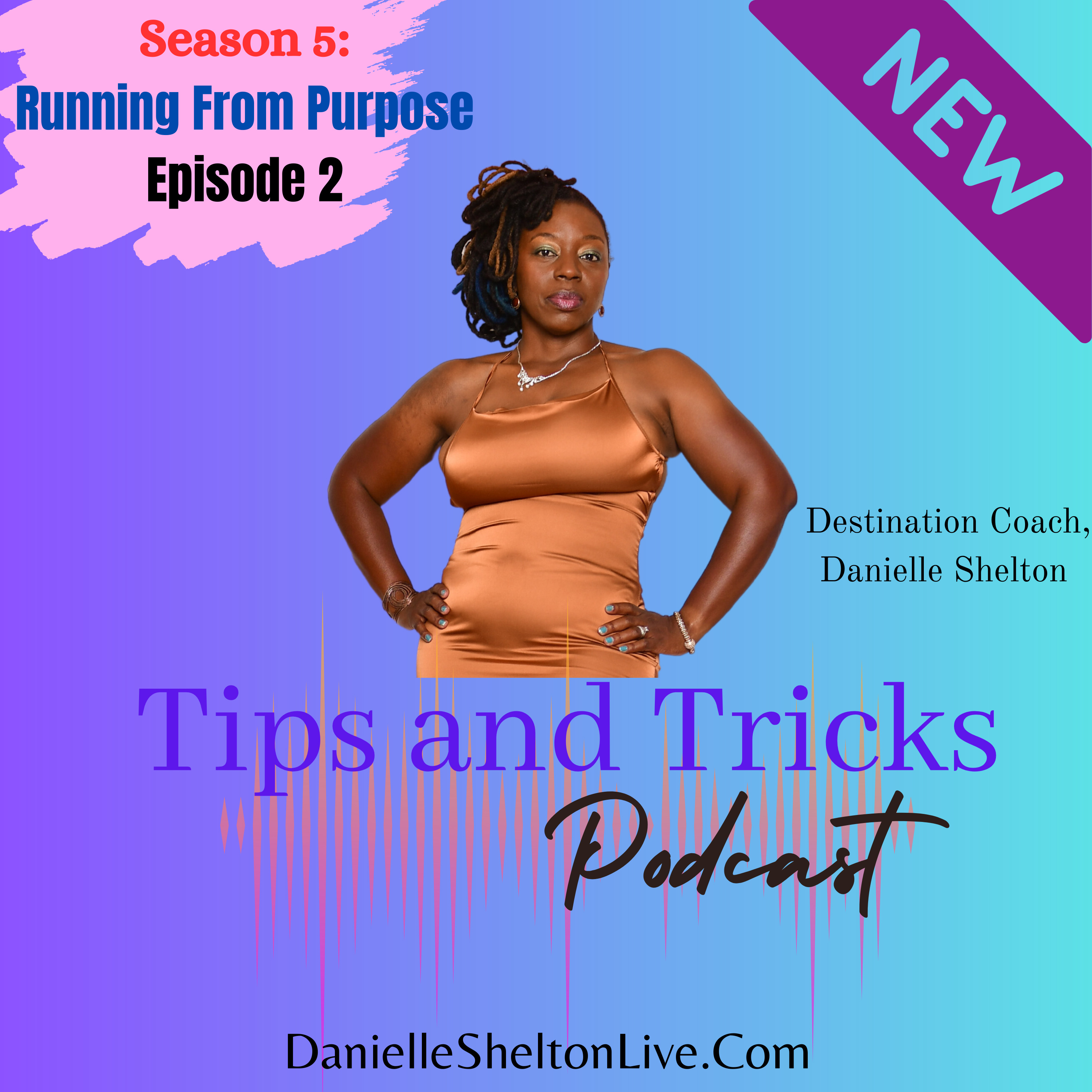 Tips and Tricks Podcast with Life Coach Danielle Shelton
